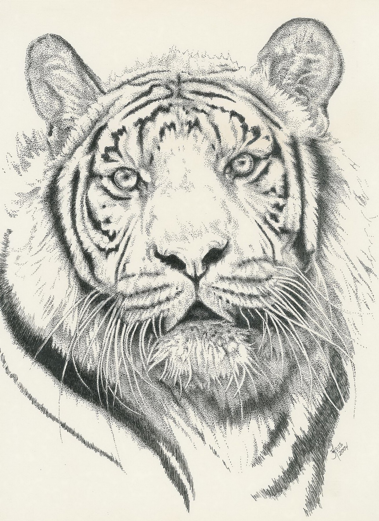 Набросок тигра