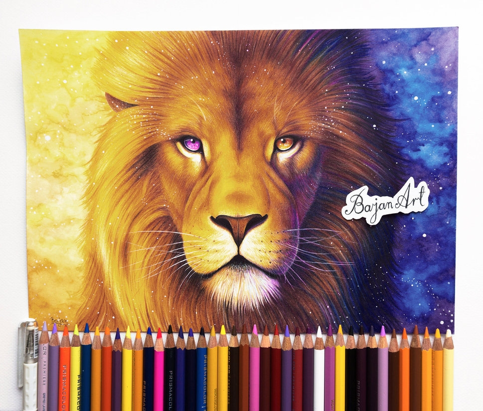 Лев разноцветными карандашами