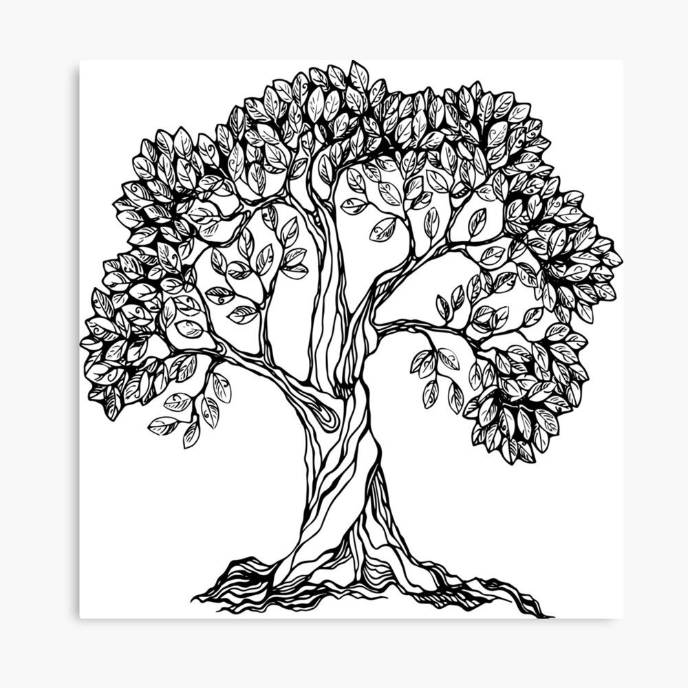 Раскраски контур, Раскраска деревья деревья природа дерево дуб Контуры дервеьев.