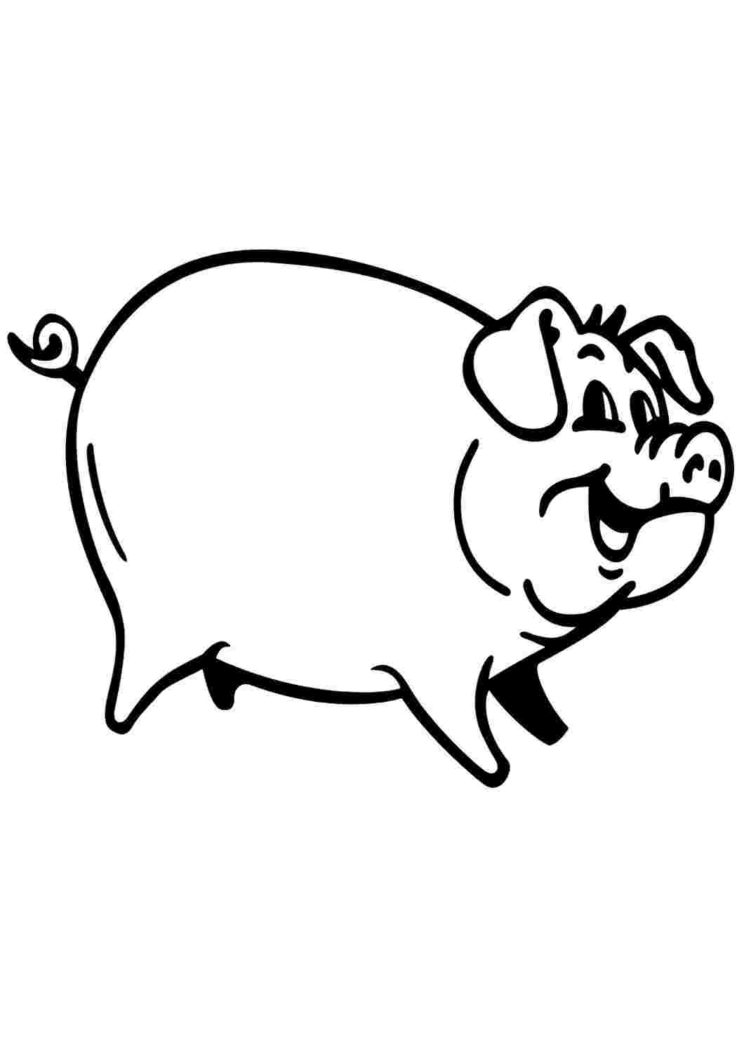Раскраски свиньи для печати