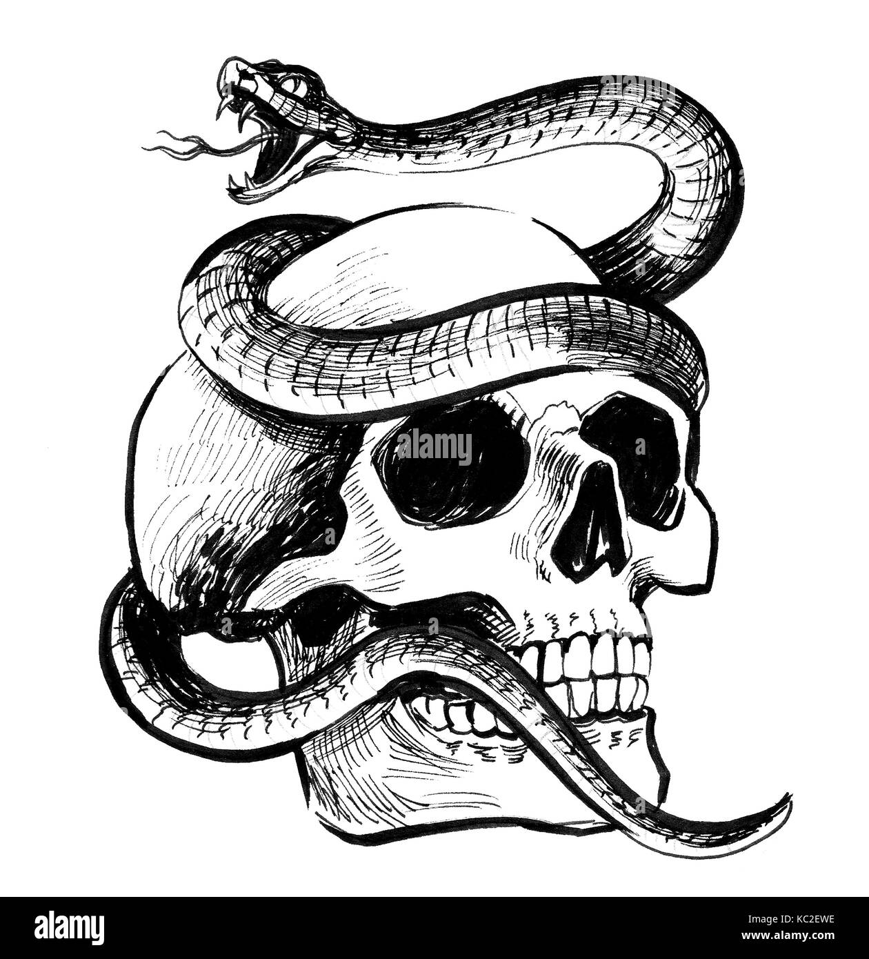 Змея через череп