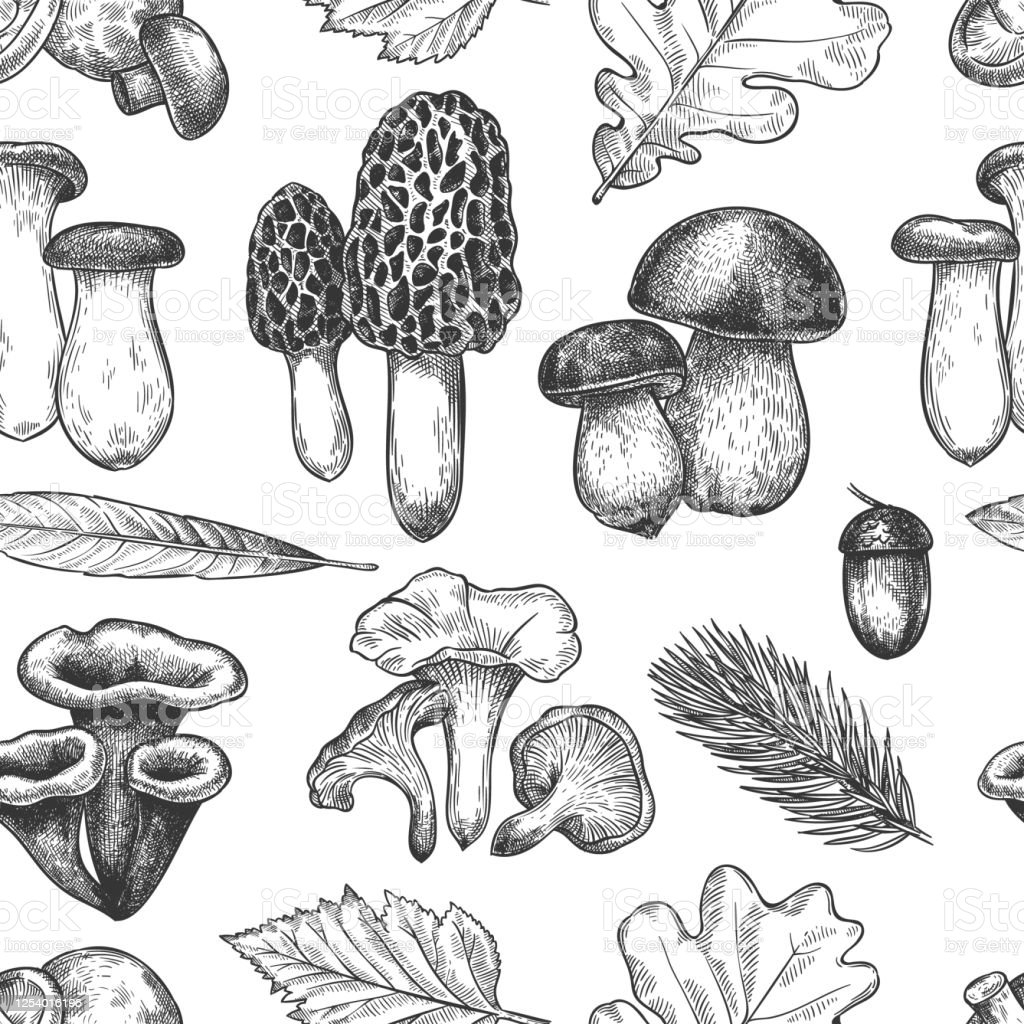 Лёгкие красивые рисунки на весь лист грибы
