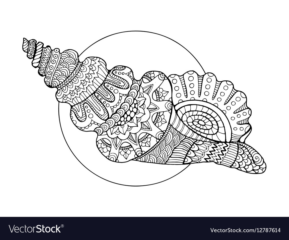 Морские раковины открытые раскраска