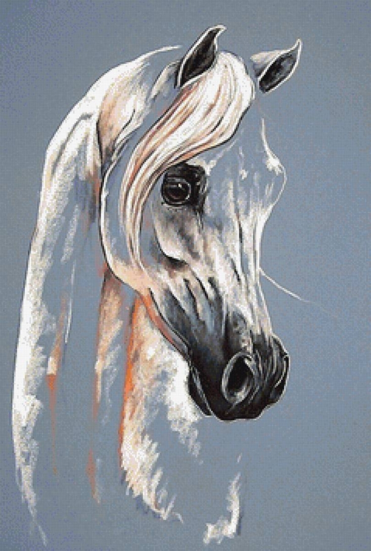 Портрет на коне