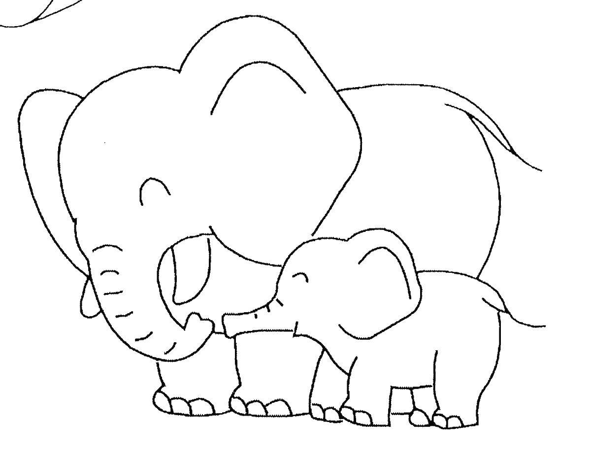 Раскраска Акварель для самых маленьких Слоник Феникс