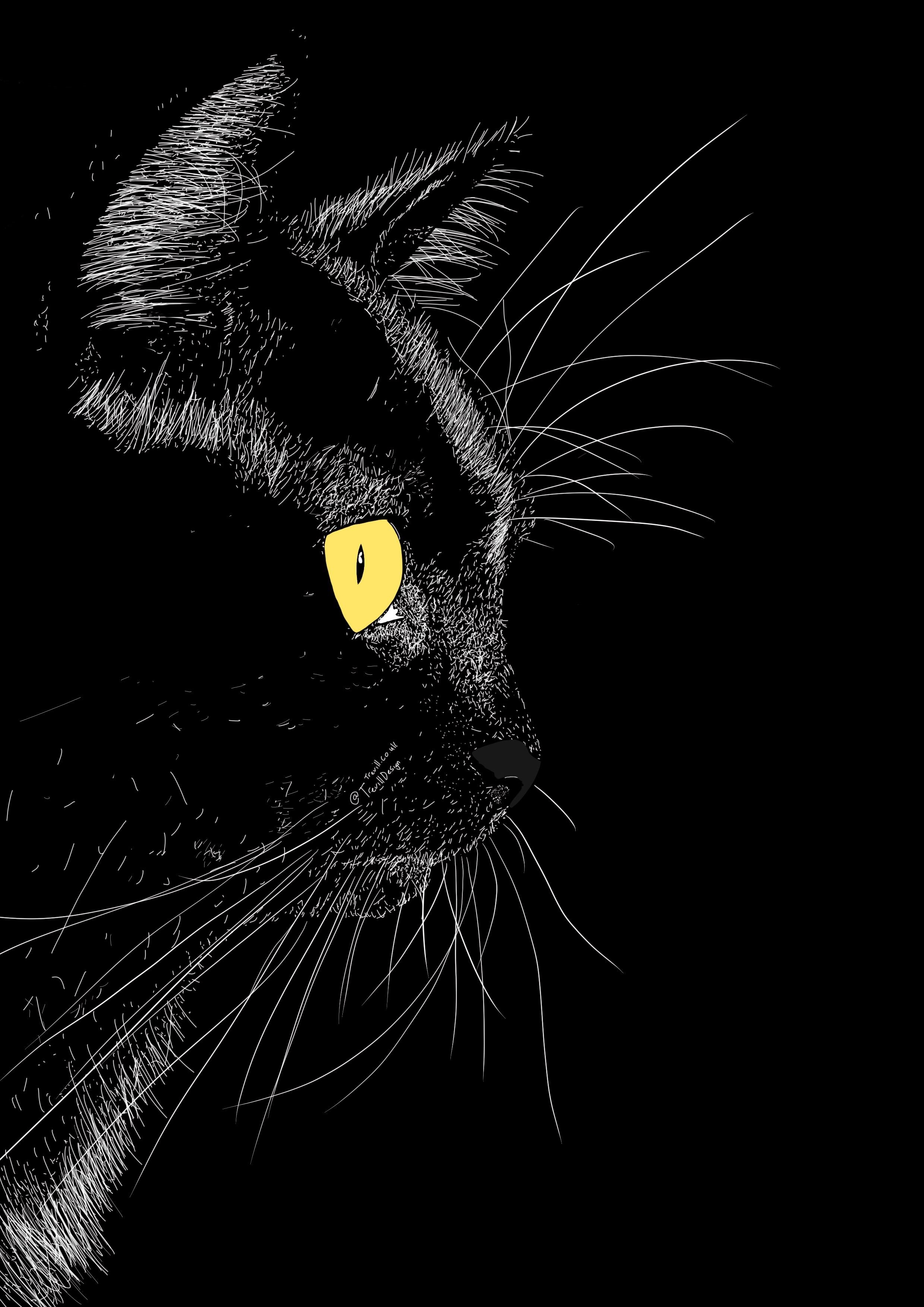Черный кот распечатать. Черный кот рисунок. Кошка на черном фоне рисунок. Чёрный кот рисунок лёгкий. Рисунок с черным котом красивая.