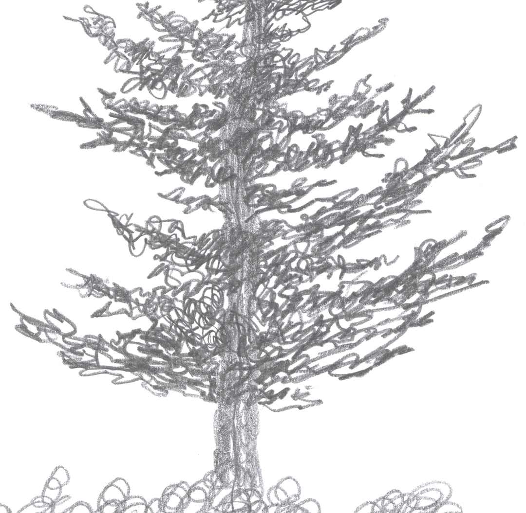 Высокое дерево иллюстрация