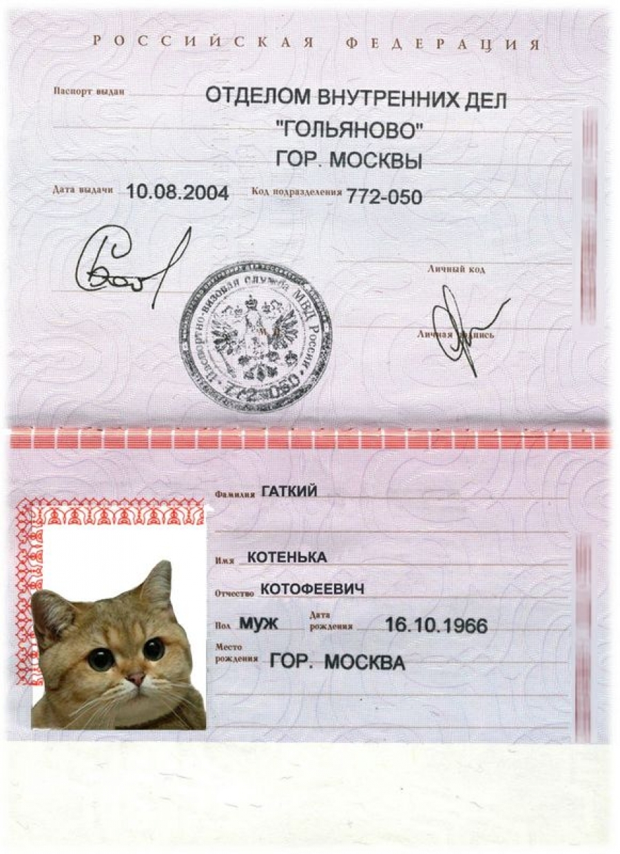 Паспорт образец