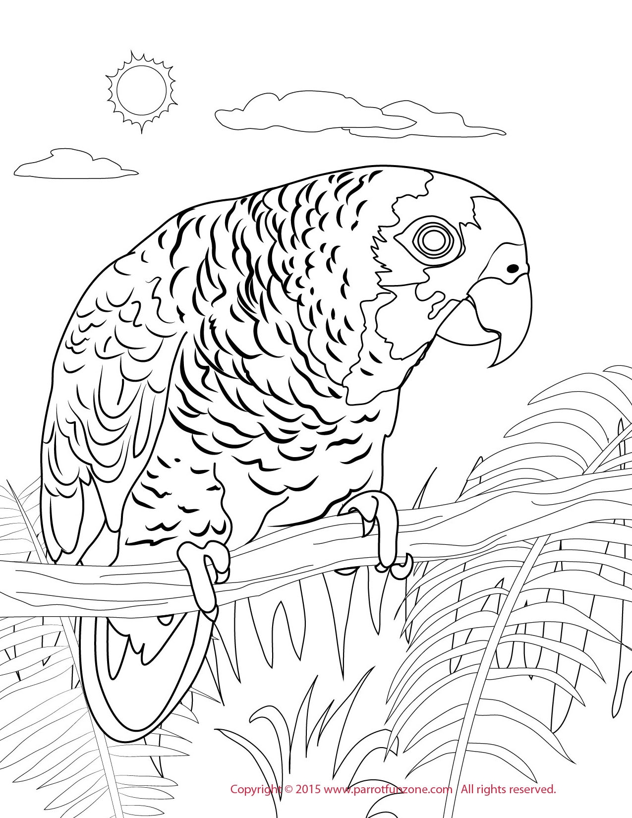 Раскраска домашние животные попугай