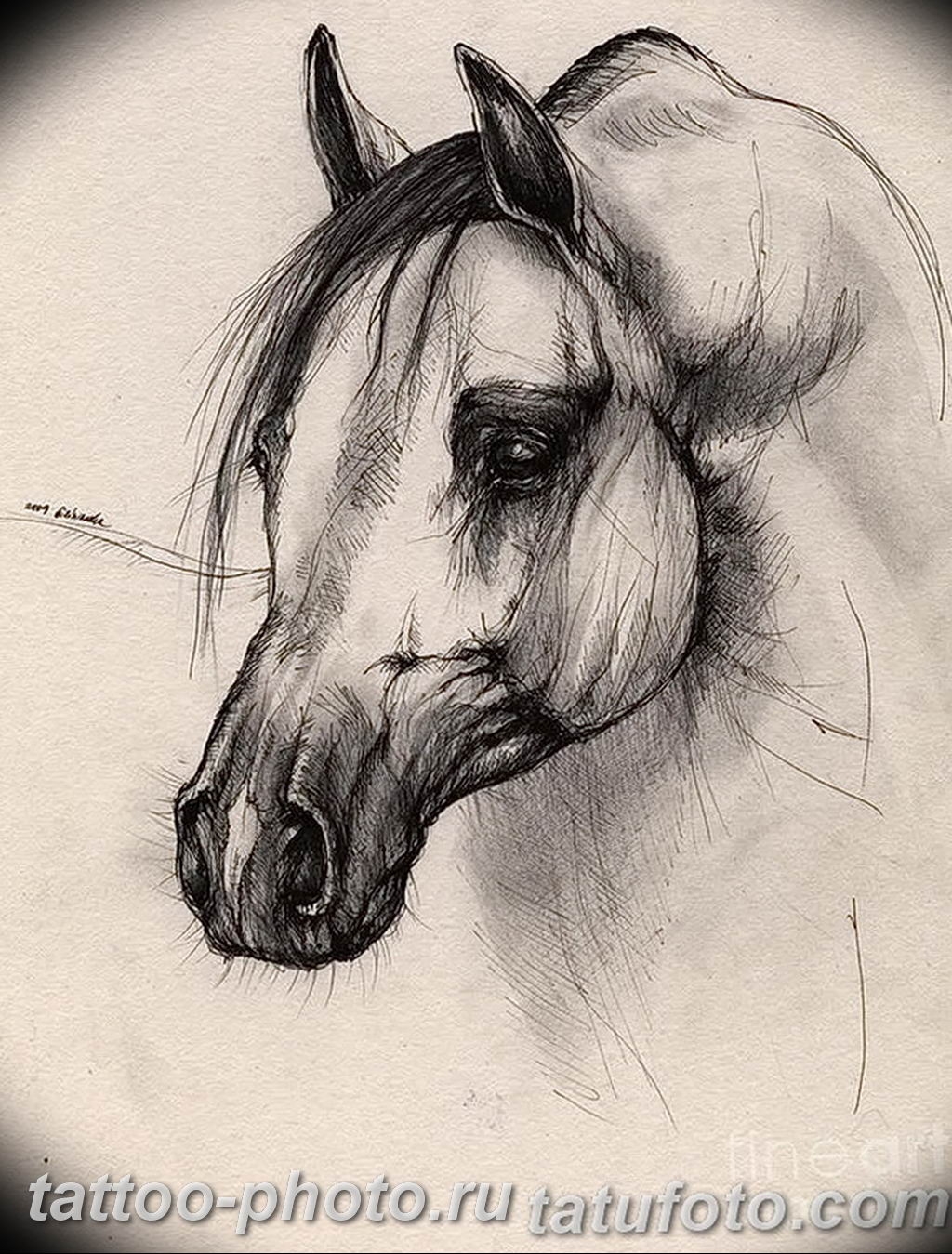 Зарисовки животных лошади