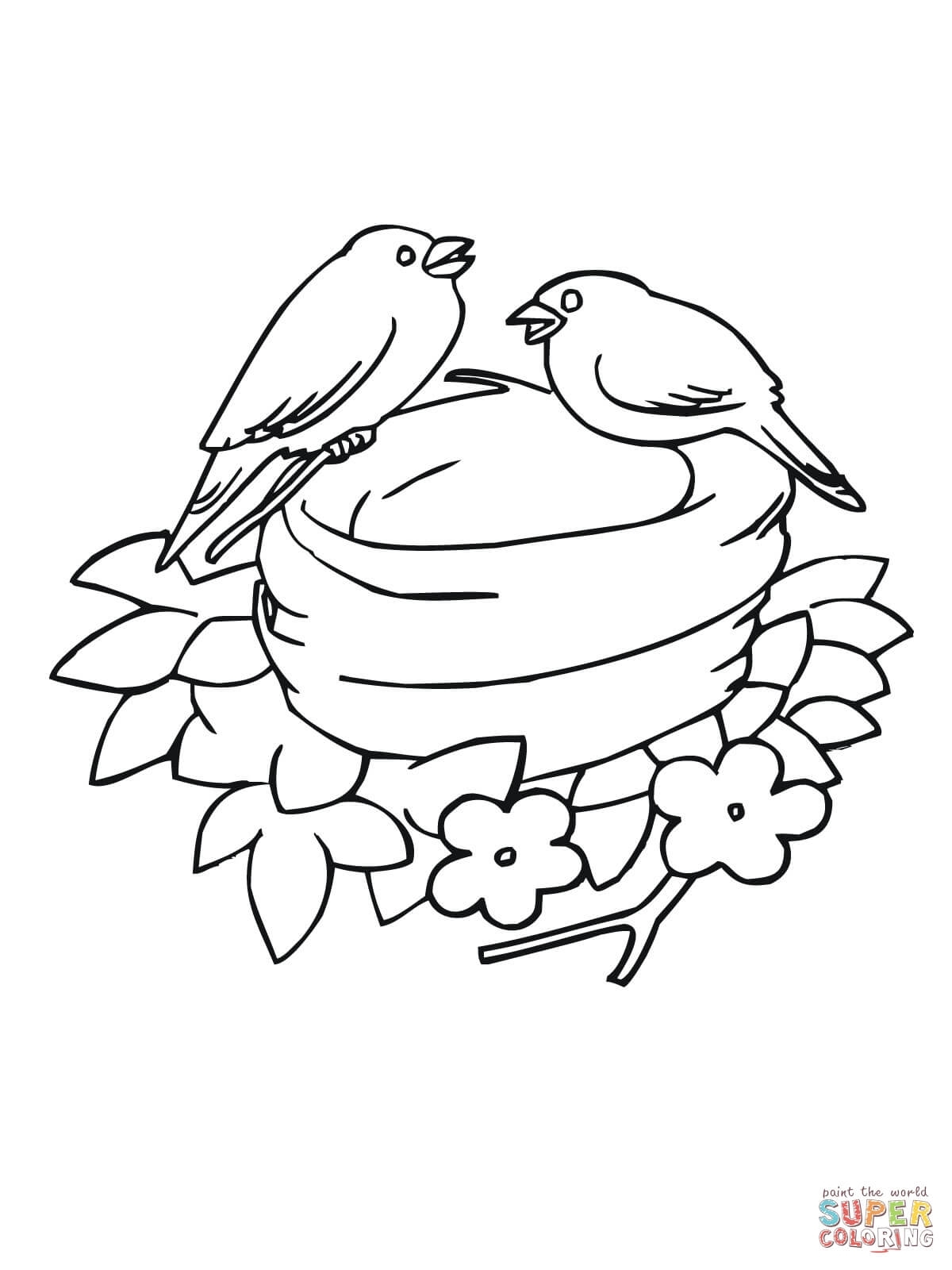 Раскраски и Рисунки гнезда птиц для рисования