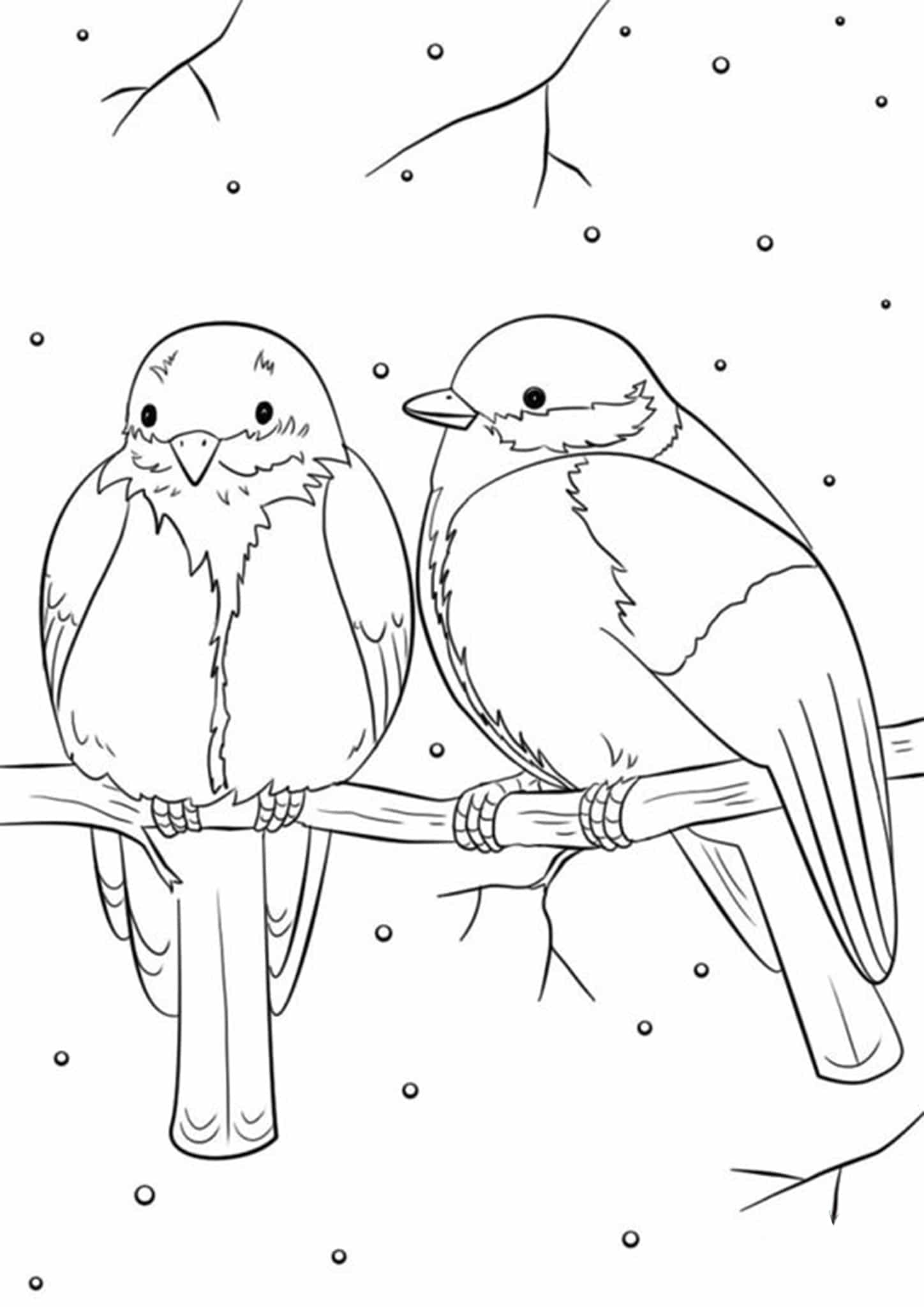 Раскраска зима зимние птицы и скворечник для детей распечатать