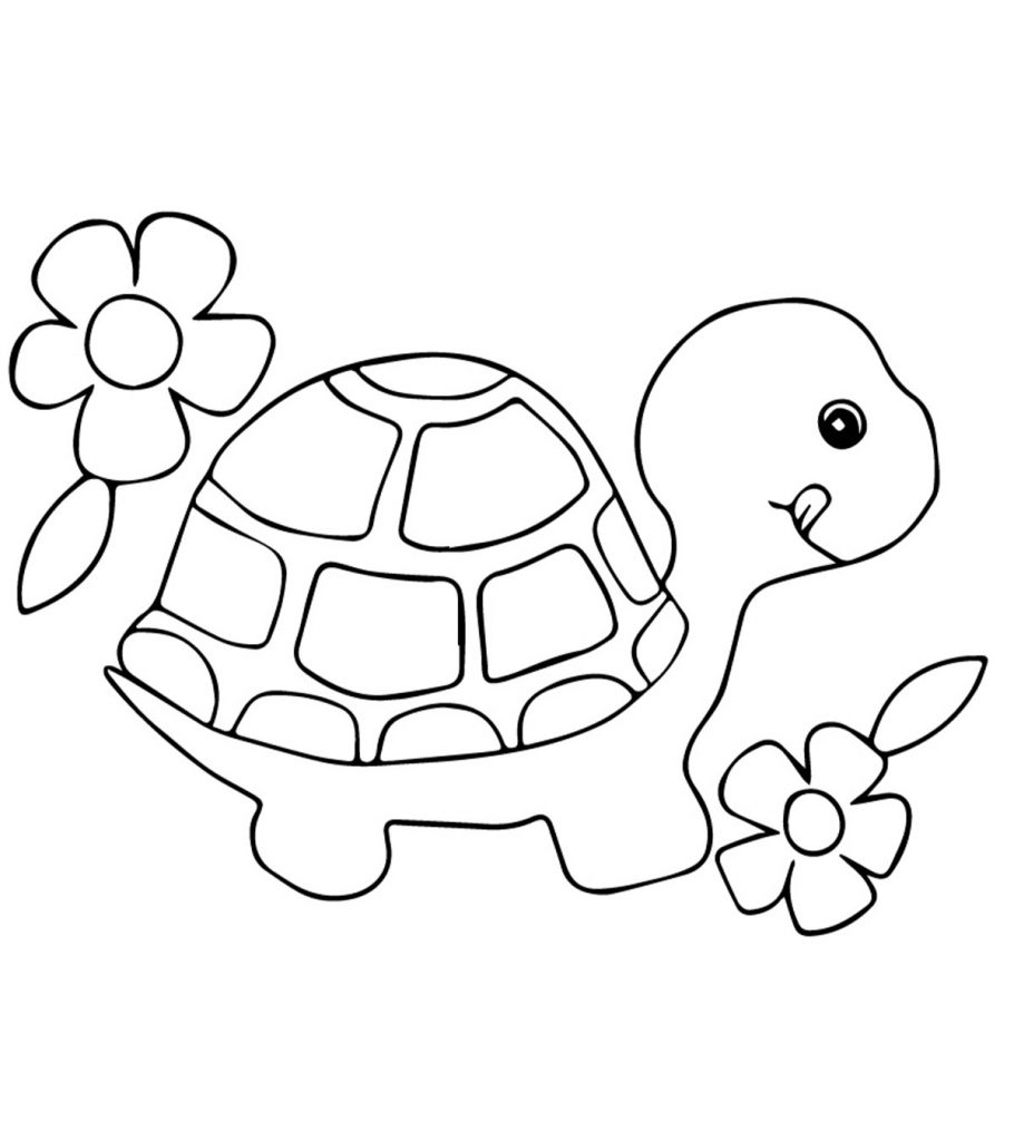 Бесплатные раскраски черепаха. Распечатать раскраски бесплатно и скачать раскраски онлайн.