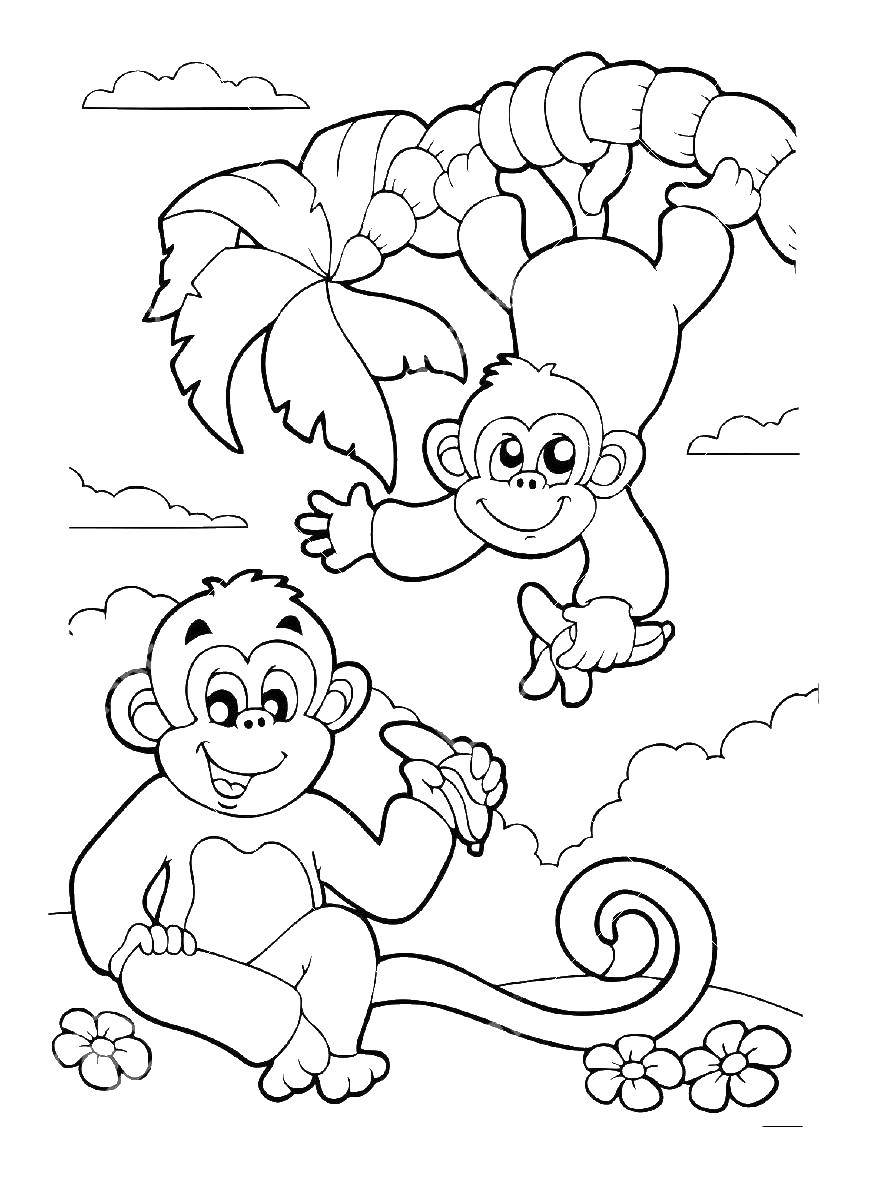 Раскраска обезьяна С. Обезьяна с бананами