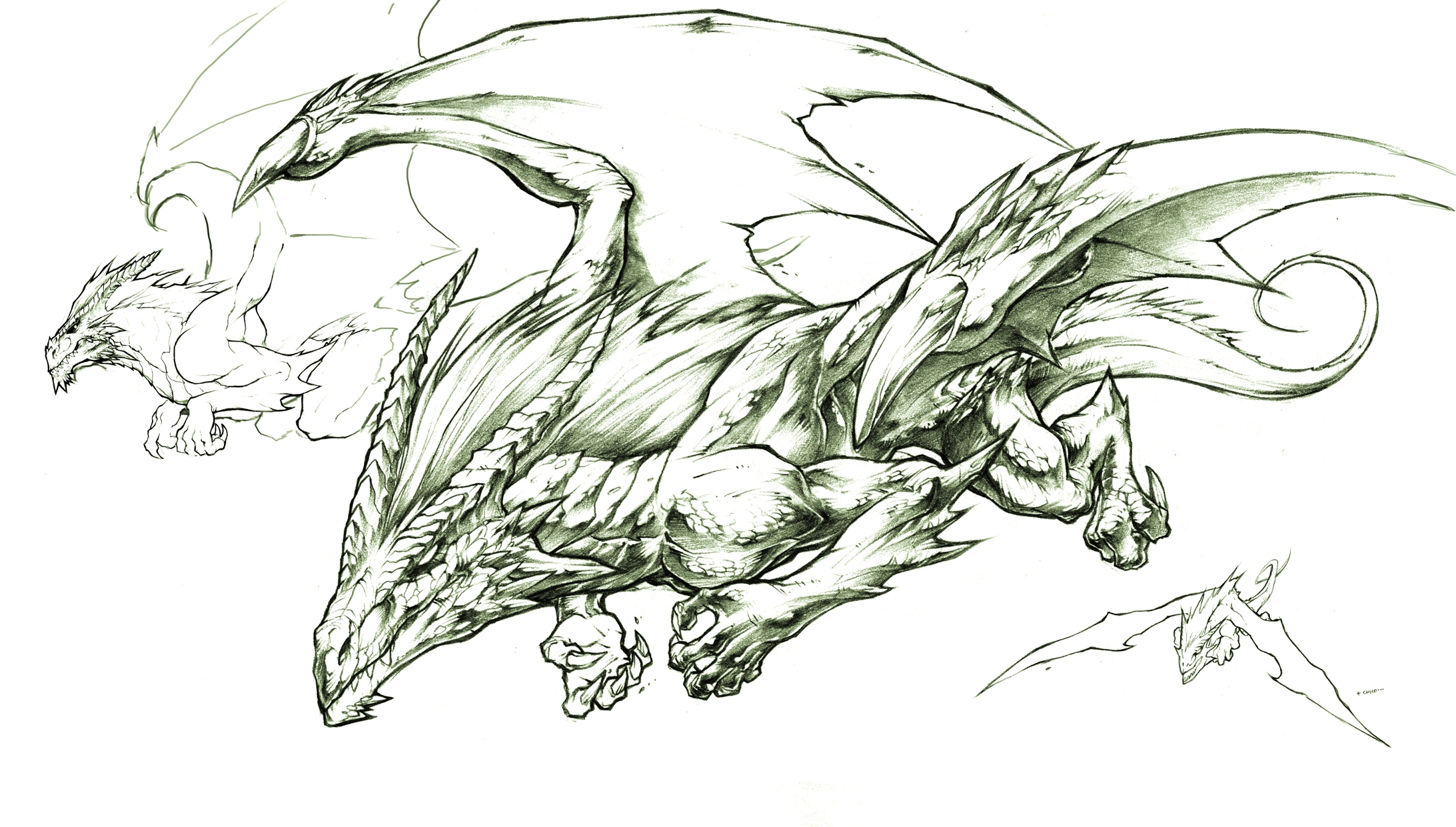 Зарисовки драконов