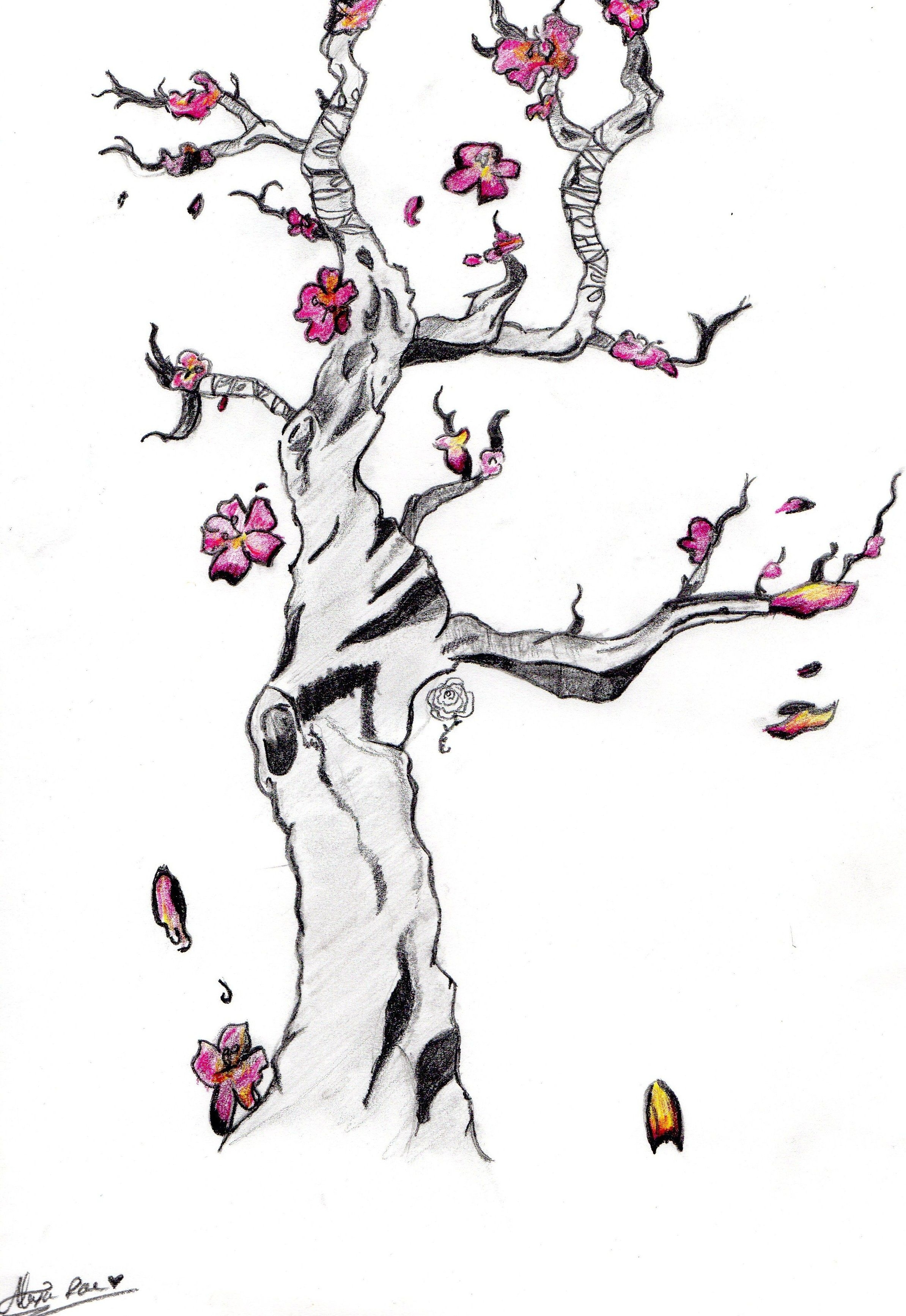 Сакура дерево Наброски