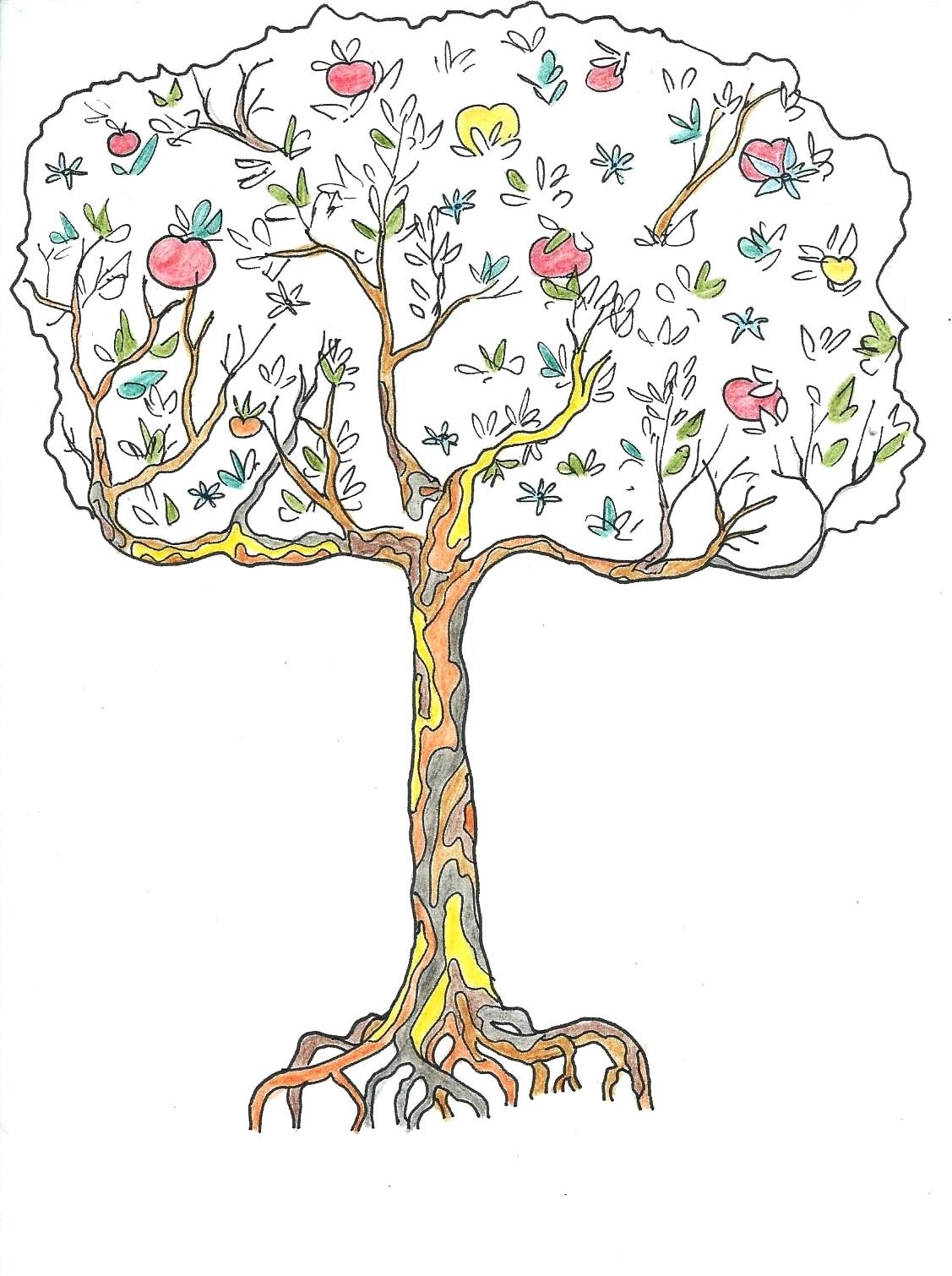 Яблоня карандашом. Яблоня дерево. Яблоня рисунок. Яблоня схематично.