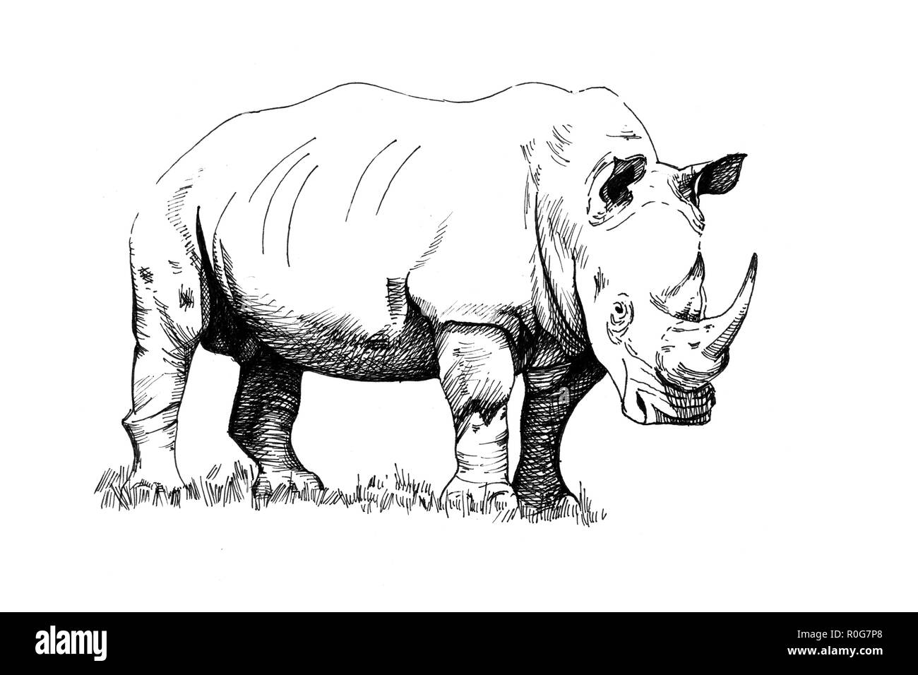 Носорог арт