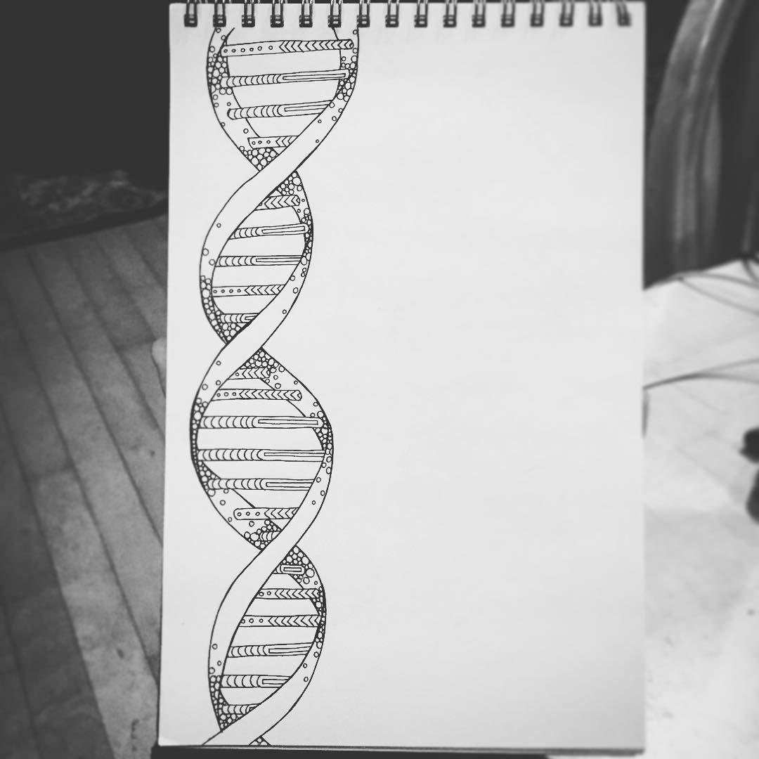 ДНК рисунок карандашом