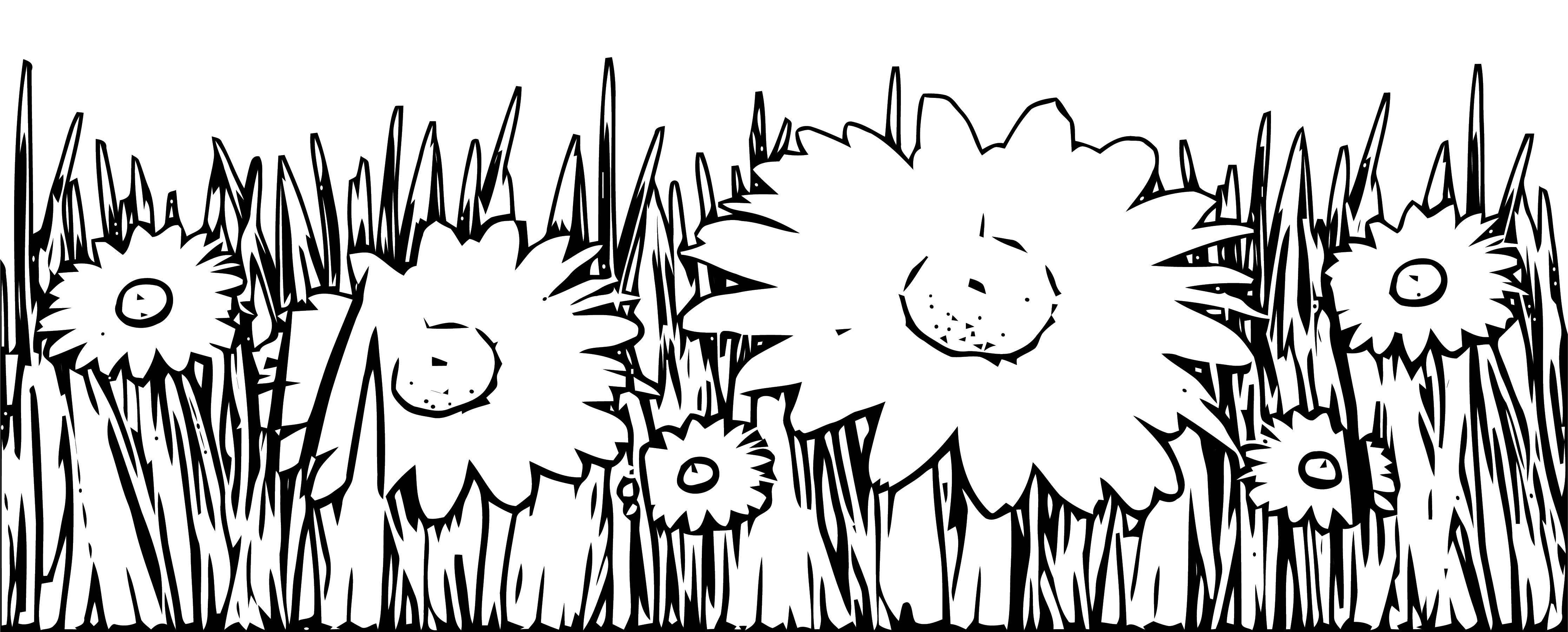 Grass picture for Kids colouring