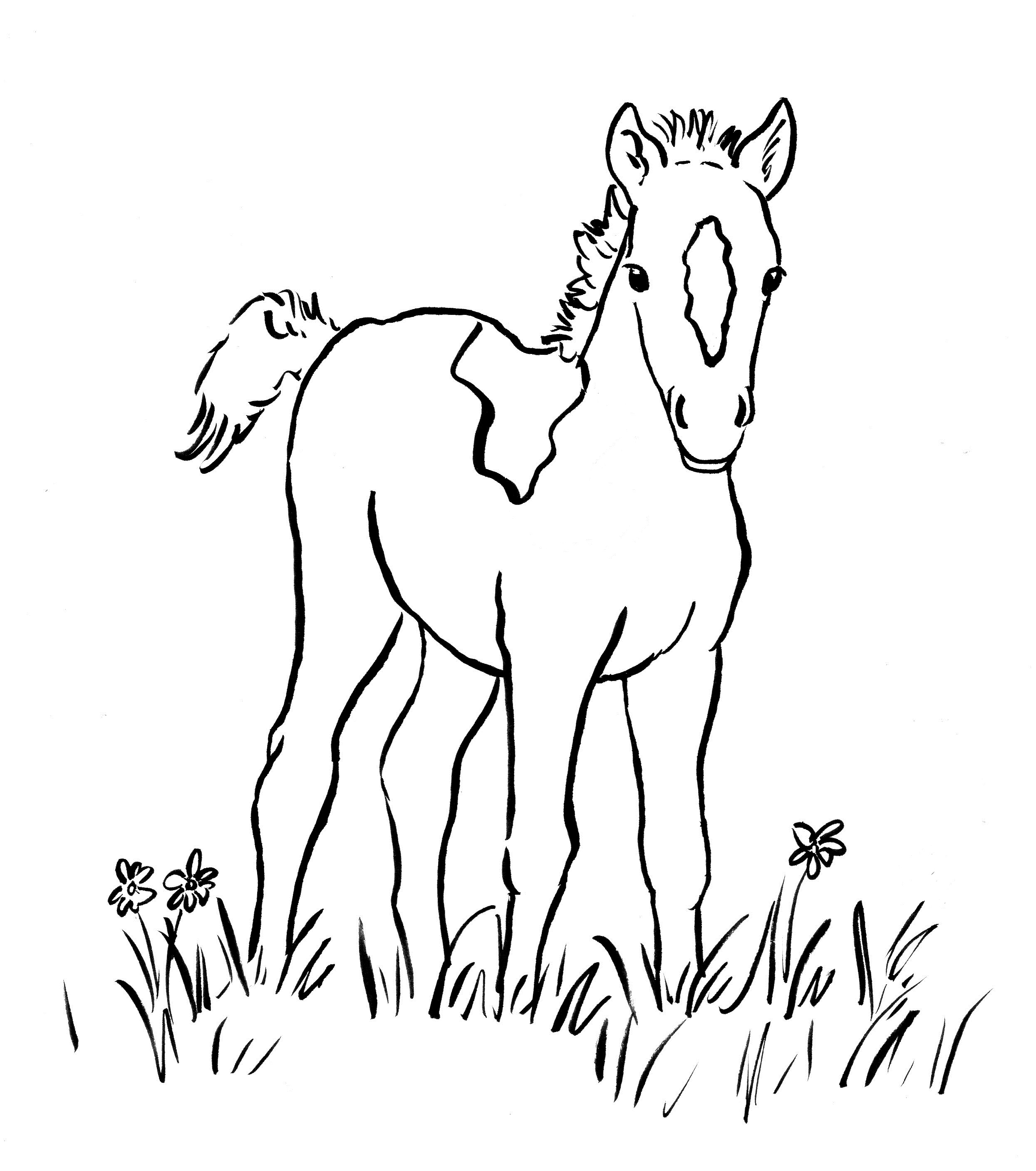 Раскраски Лошади и Лошадки распечатать бесплатно для детей девочек мальчиков