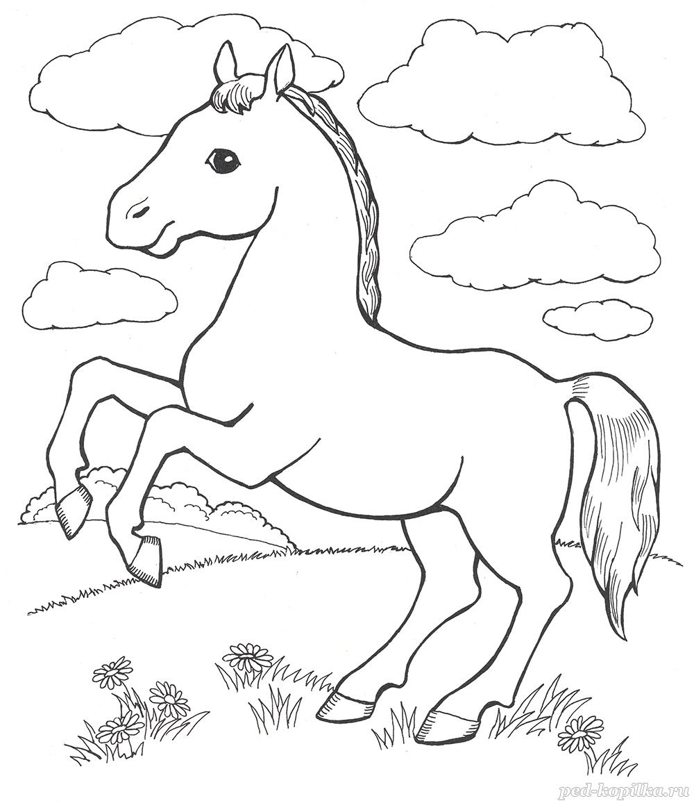 Раскраски Лошадь с Жеребёнком