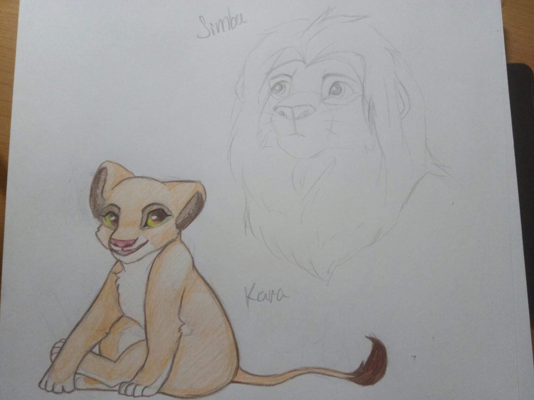 Симба кот рисунок карандашом