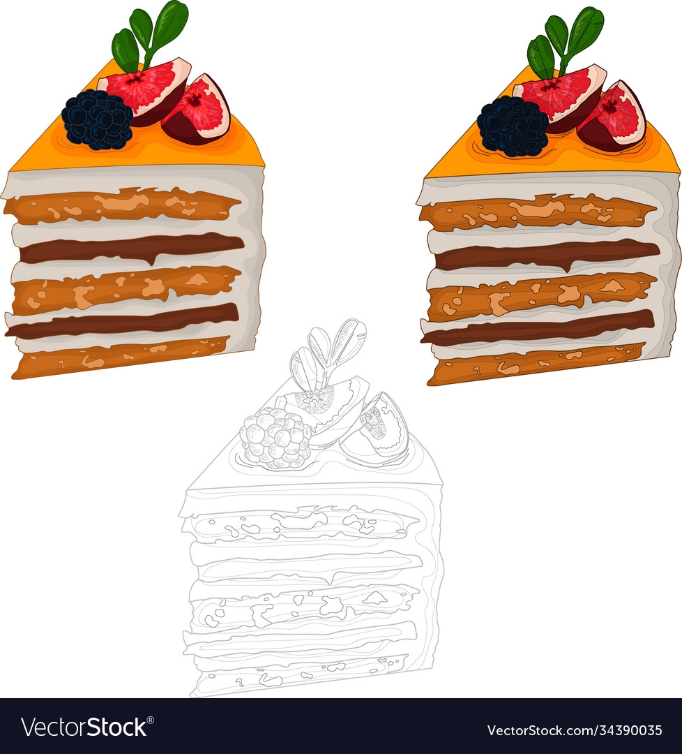 Торт в разрезе вектор