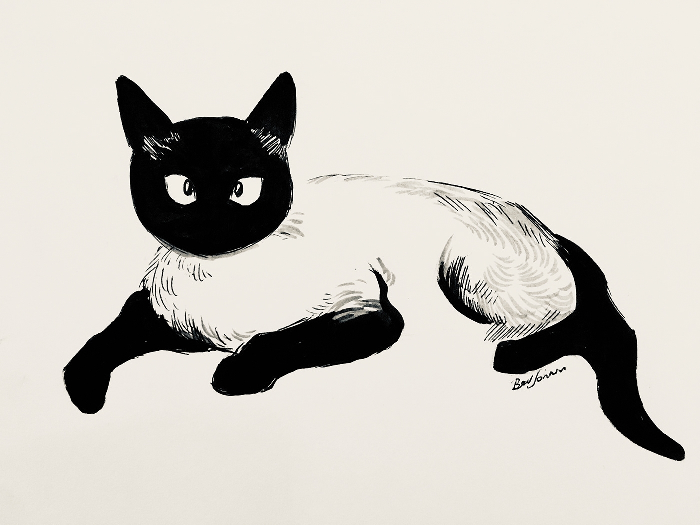Сиамская кошка Графика