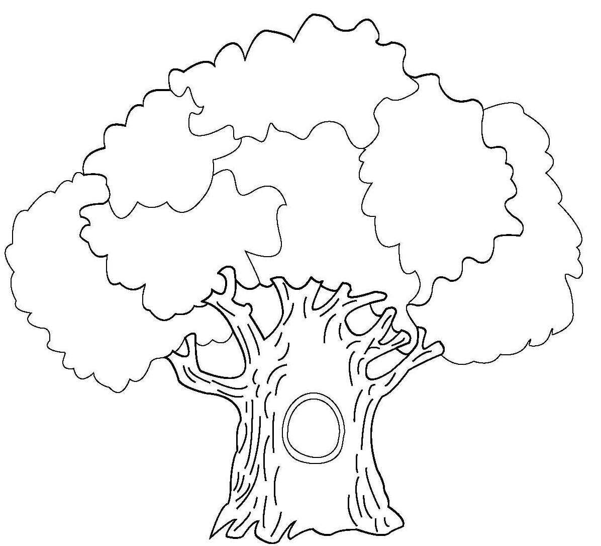 Раскраска дерево дуб