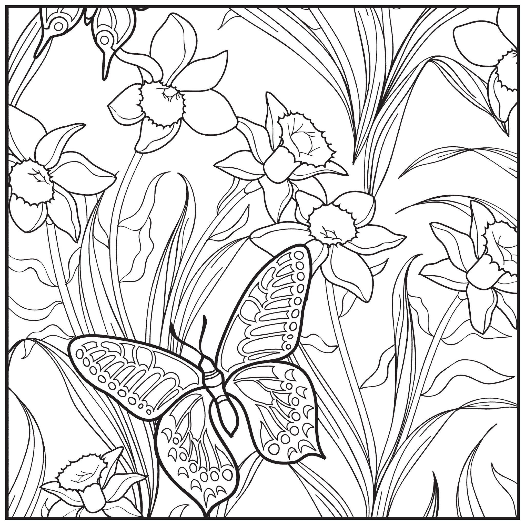 Раскраска луг с цветами и бабочками