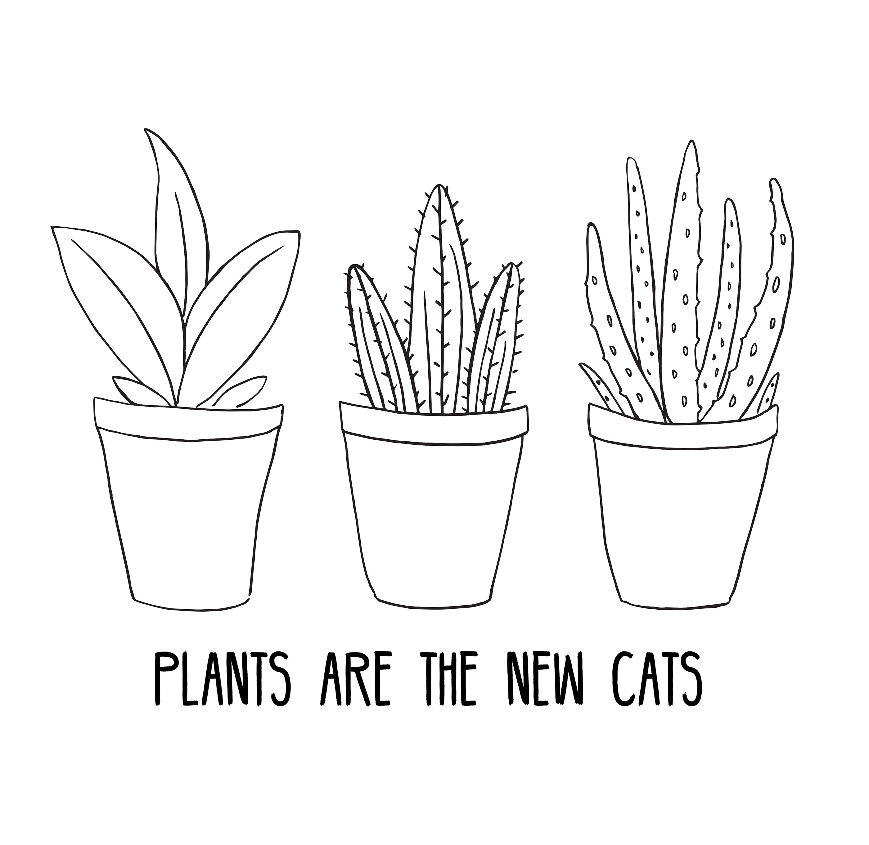 Simply plants