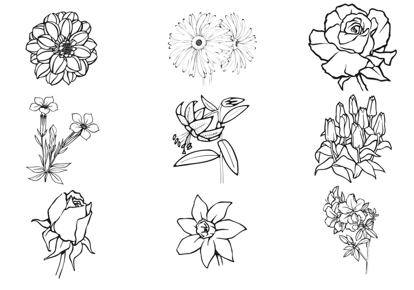 Рисунок цветы в ряд карандашом