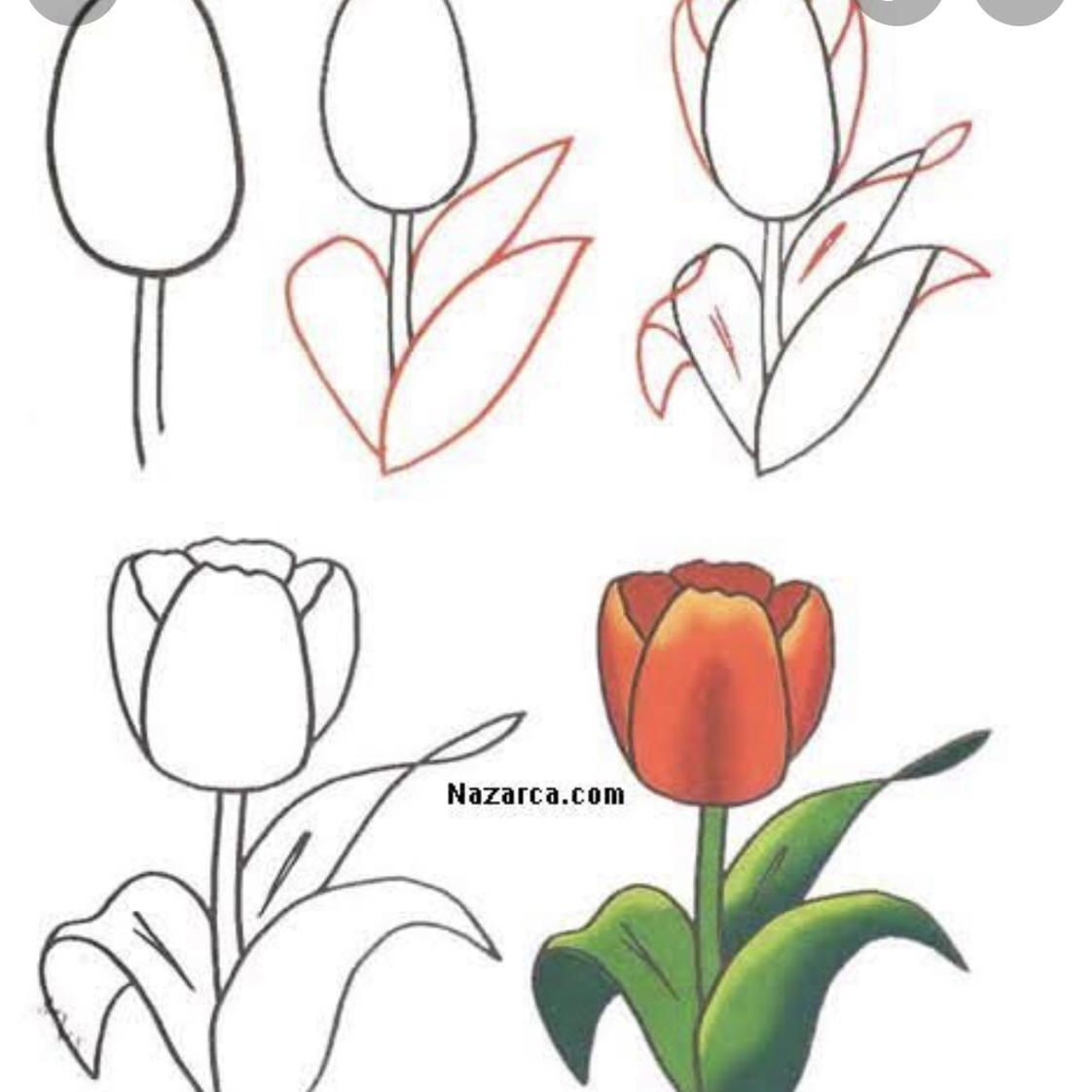 Рисунок аленький цветочек карандашом легко и красиво поэтапно