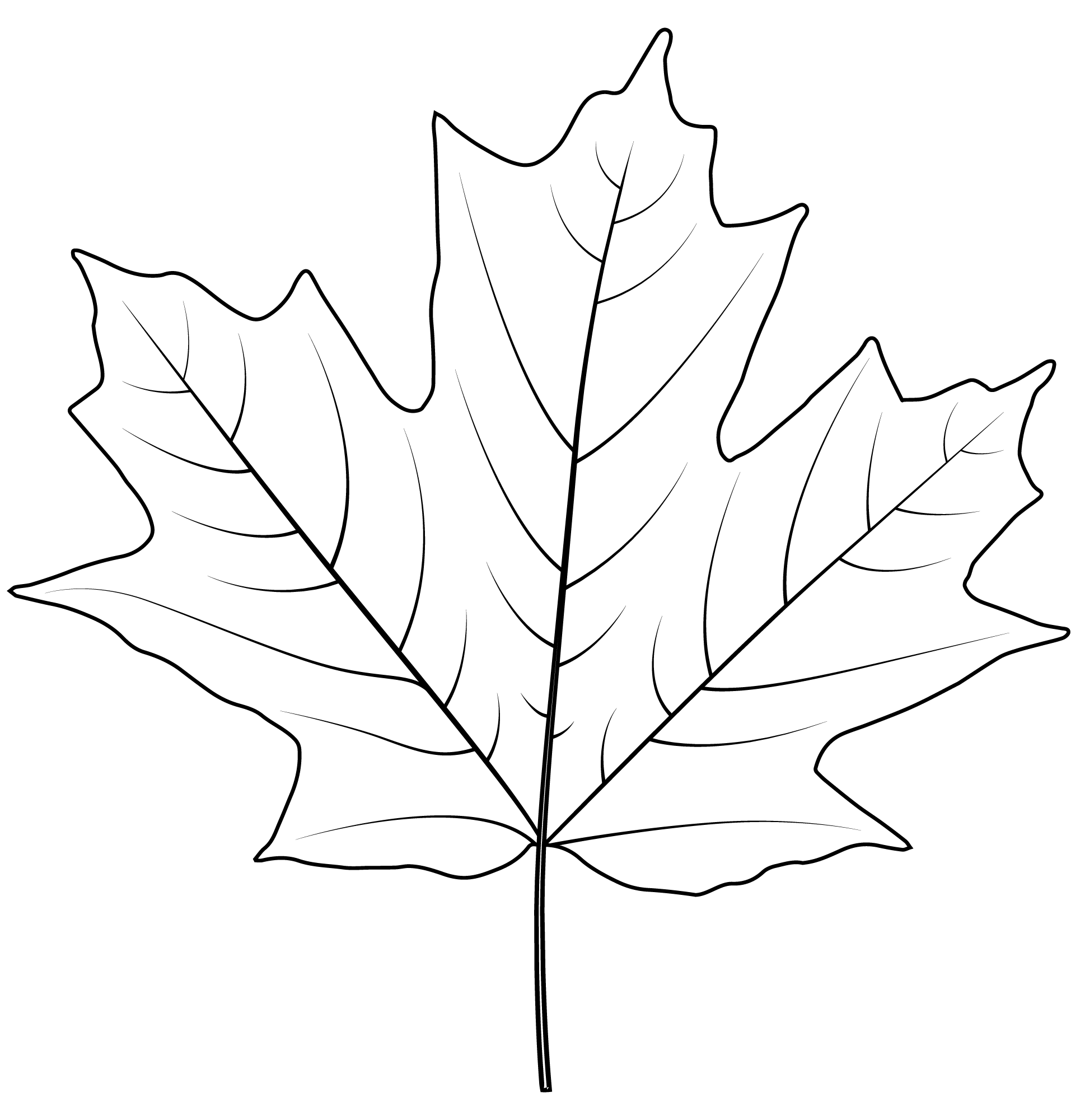 Фото листьев распечатать. Рисунок легкий листья. Кленовый лист раскраска. Кленовый лист рисунок легкий. Кленовый лист эскиз.