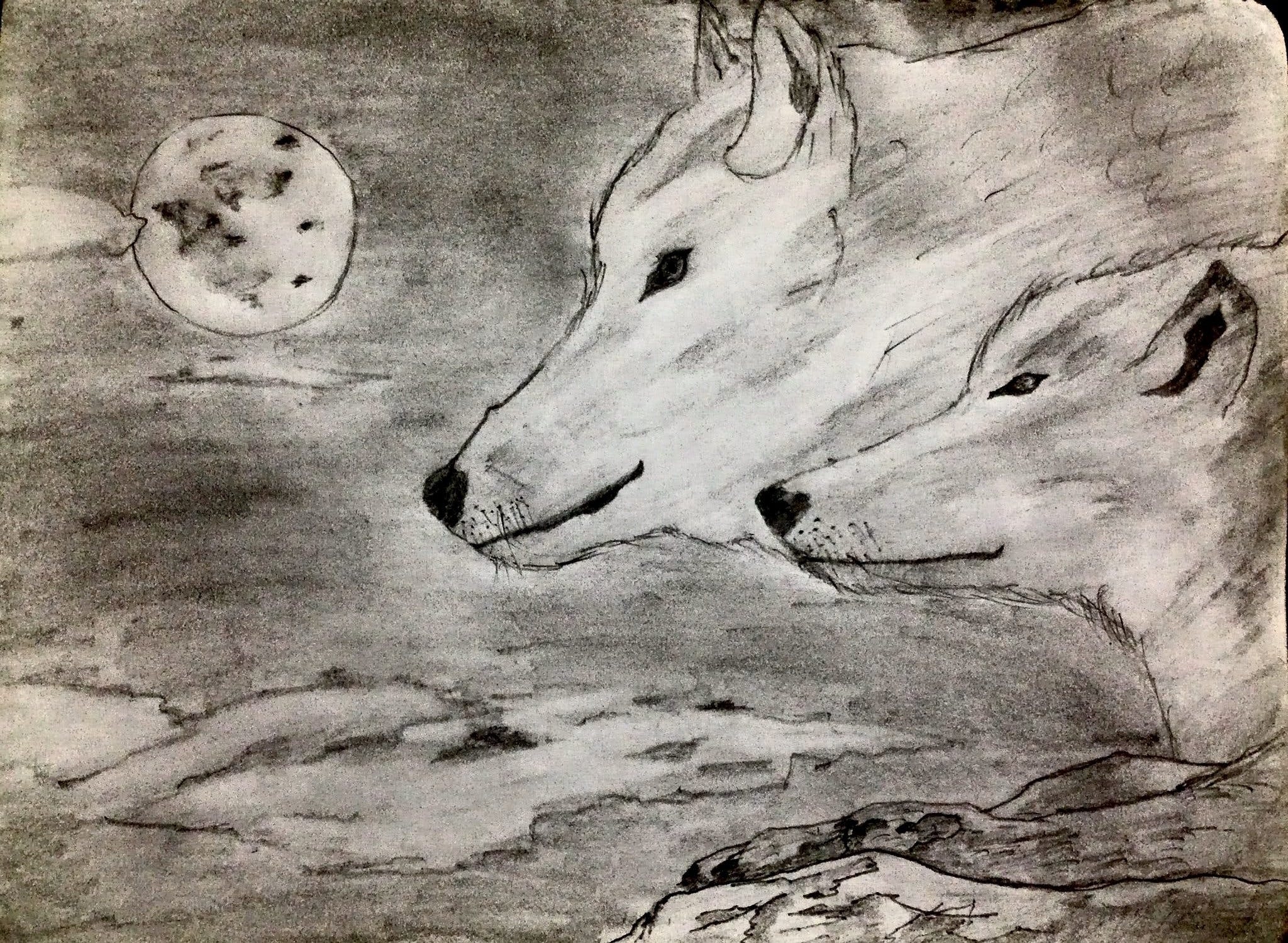 Волк и Луна рисунок карандашом