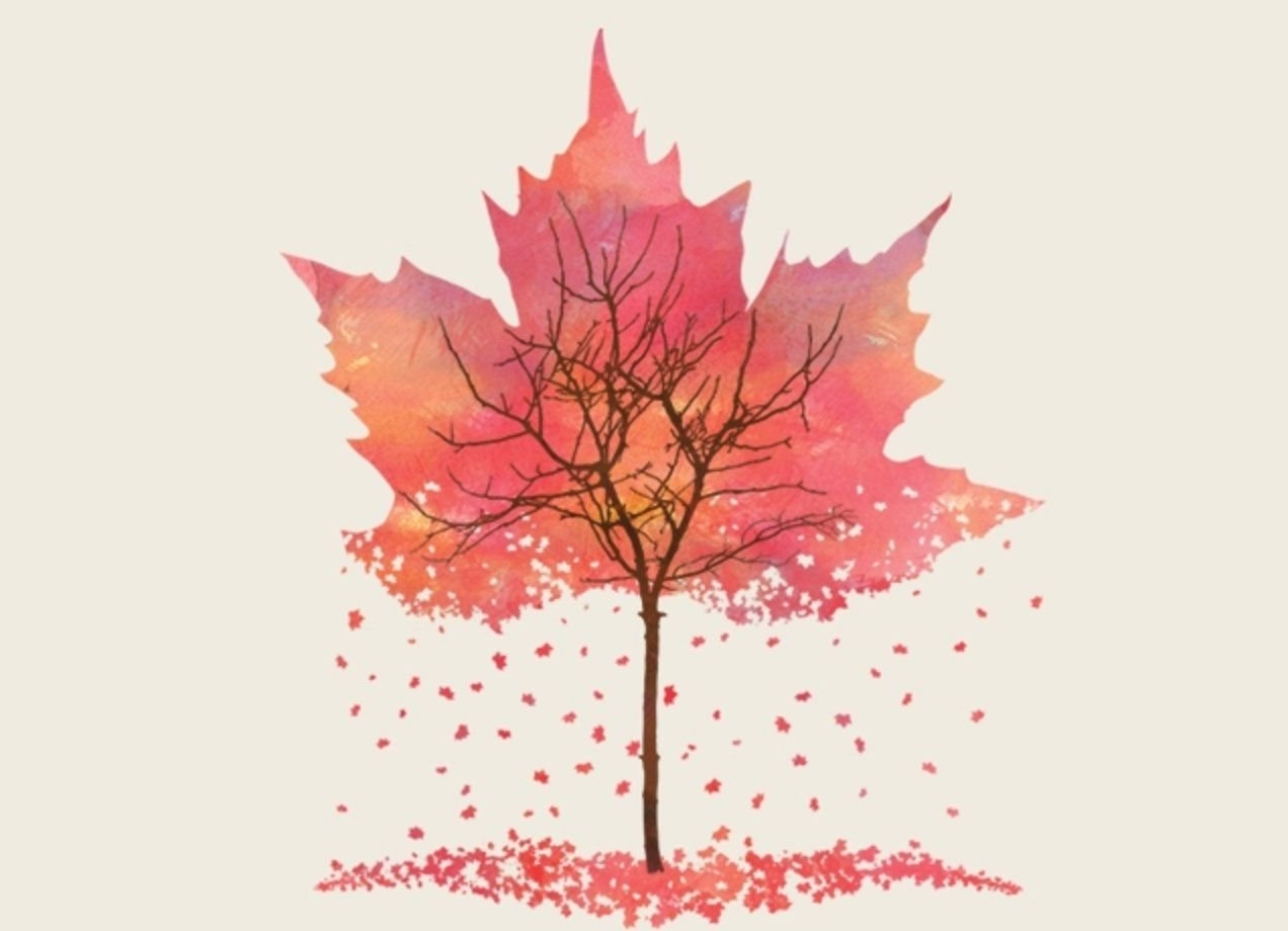 Осеннее дерево рисунок карандашом - 71 фото