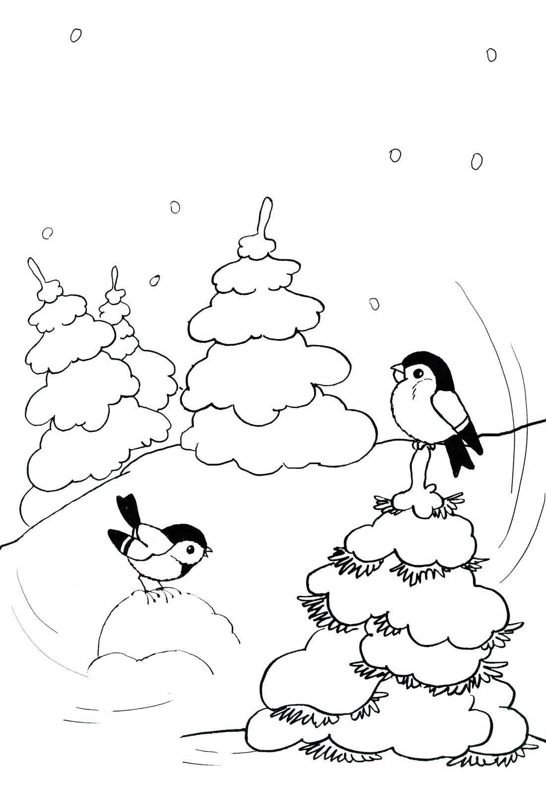 Снегирь в зимний вечер — GX 40х50 см / Купить картину по номерам Цветной