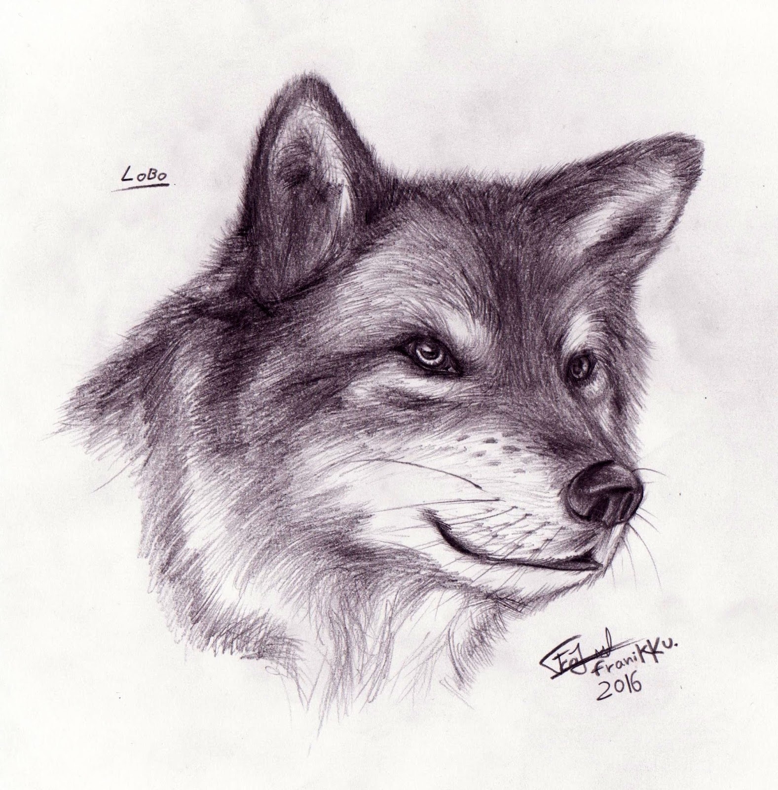 Рисовать маленького волка