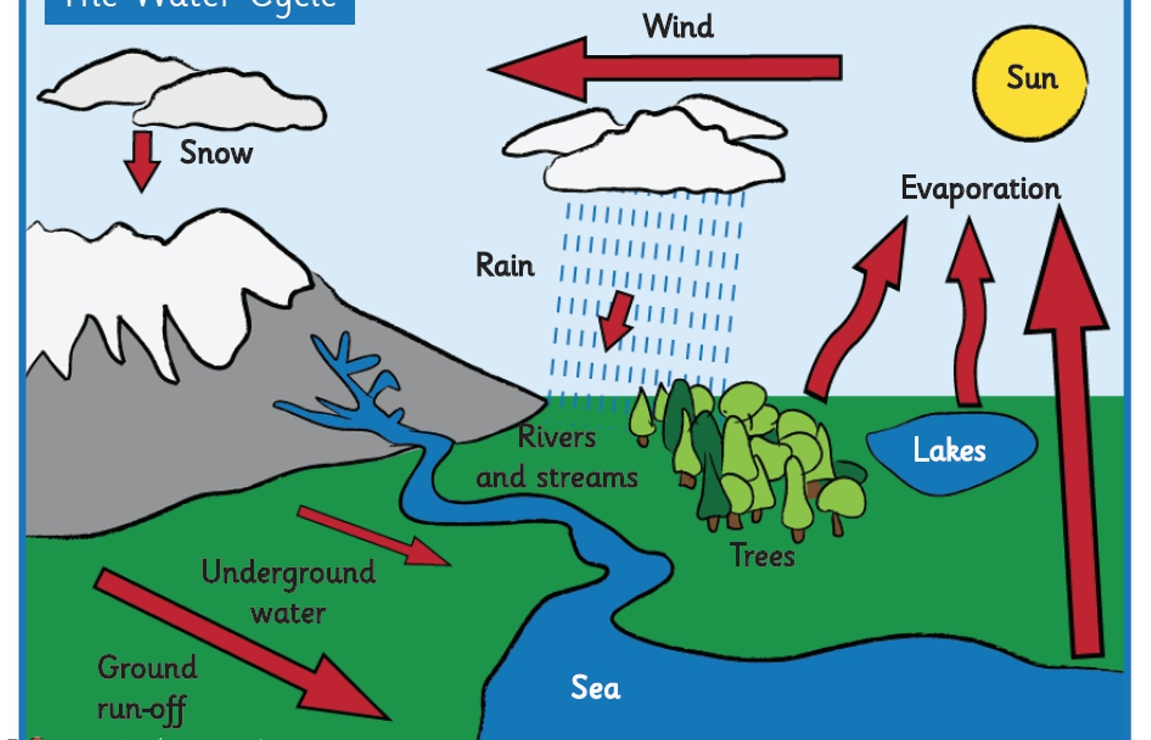 Water Cycle poster