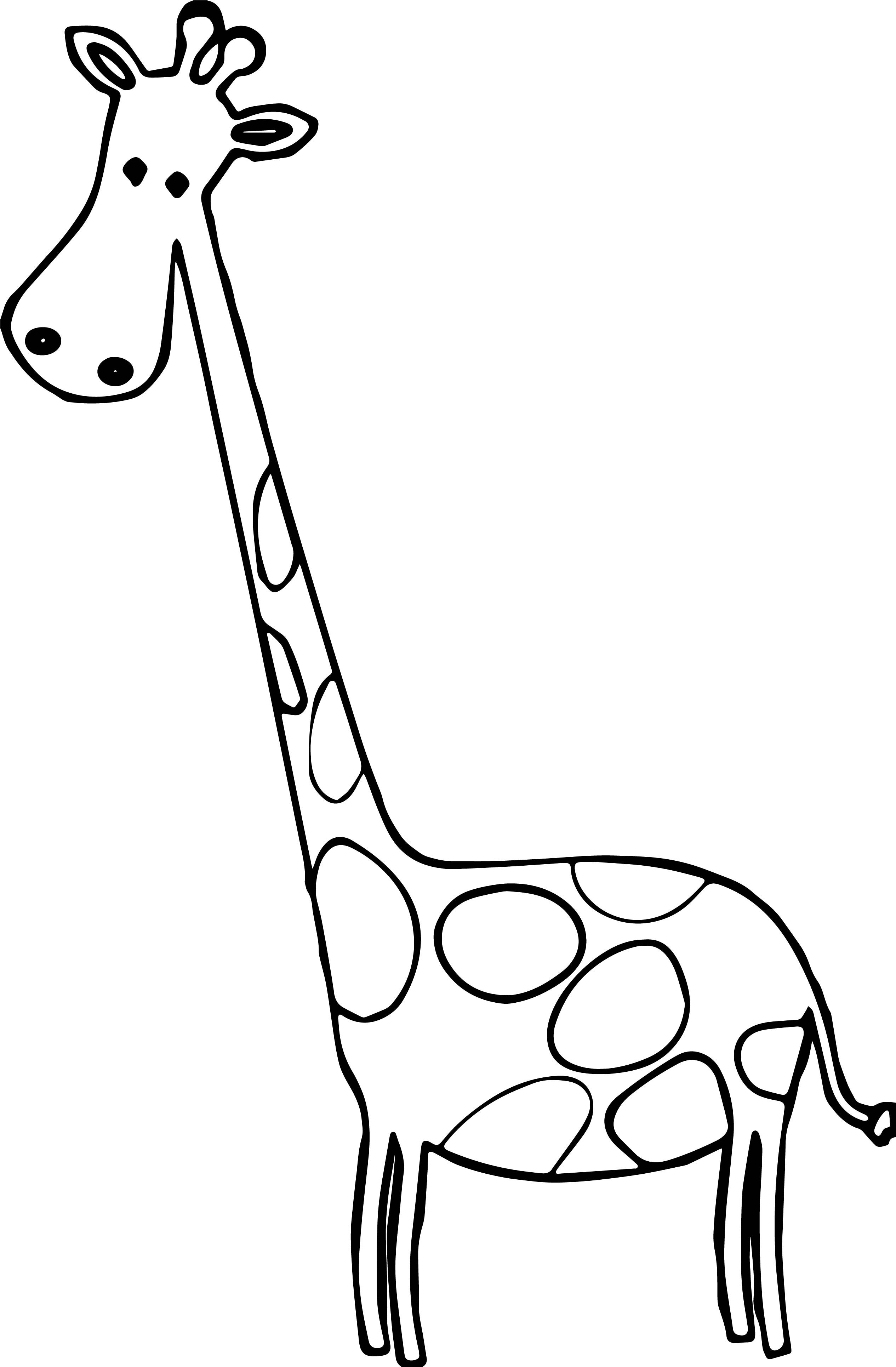 Жираф трафарет для детей