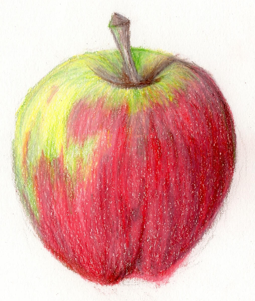 Рисунок цветными карандашами для начинающих яблоко