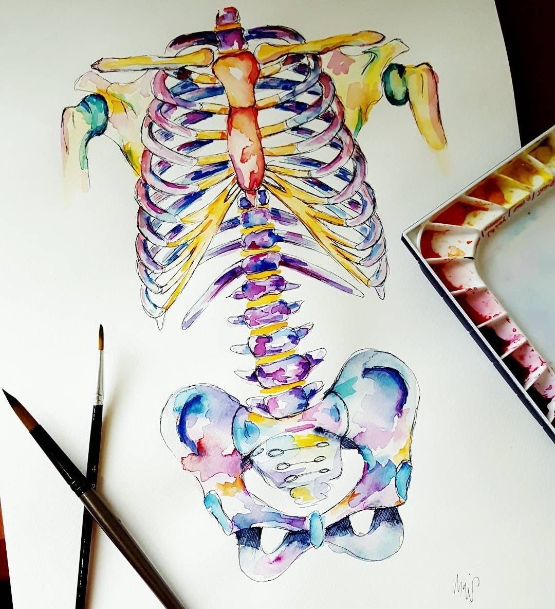Анатомия в искусстве рисования