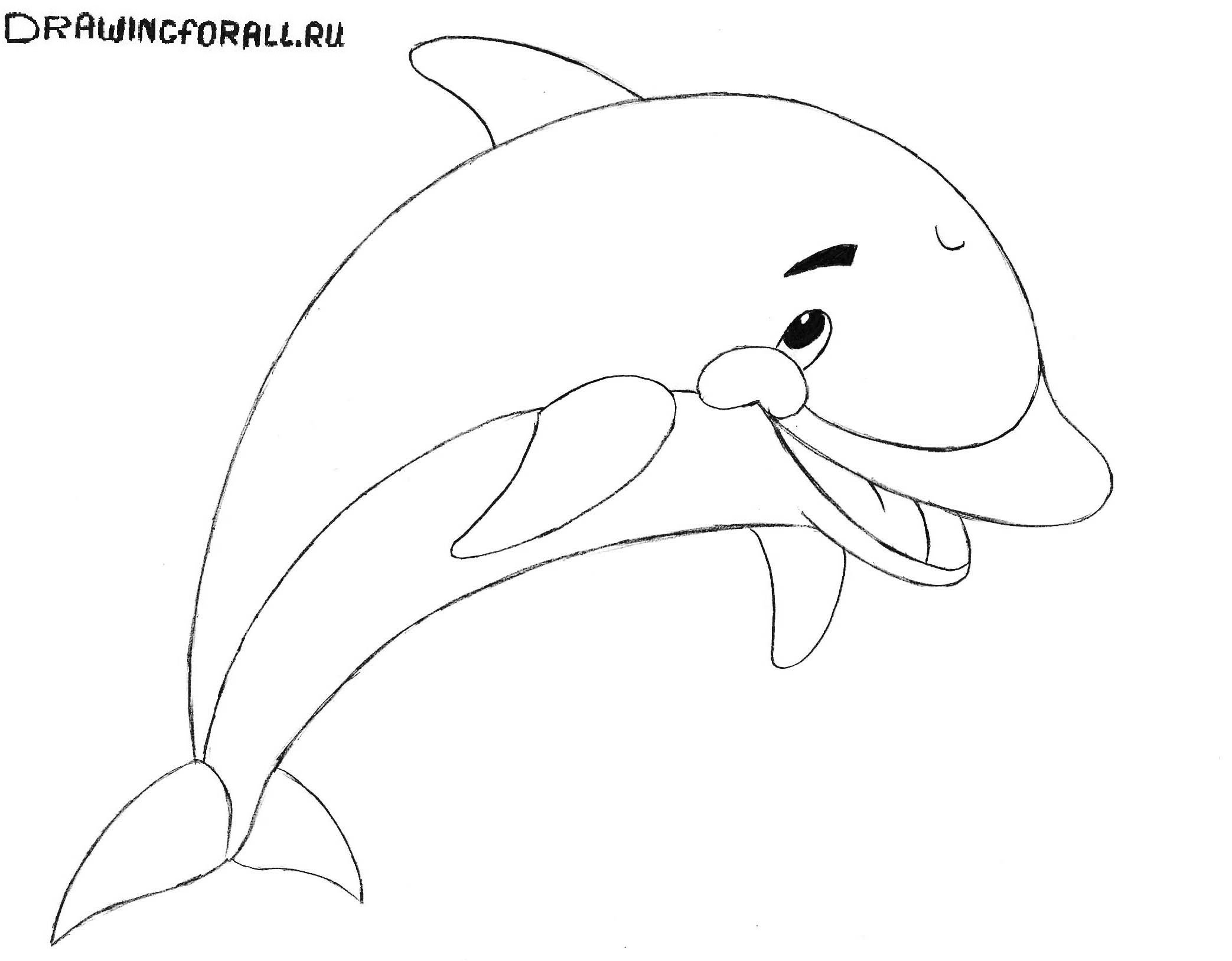 Рисунок дельфина для срисовки