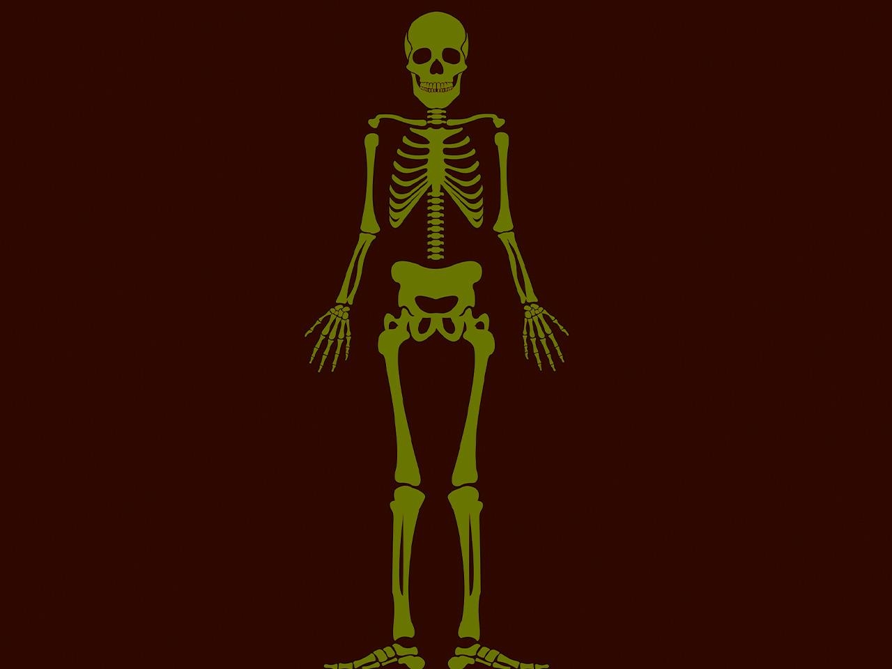 Ткань скелета человека. Скелет. Скелет на аву. Обои на телефон скелет.