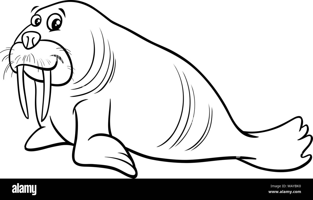 Черно белый морж