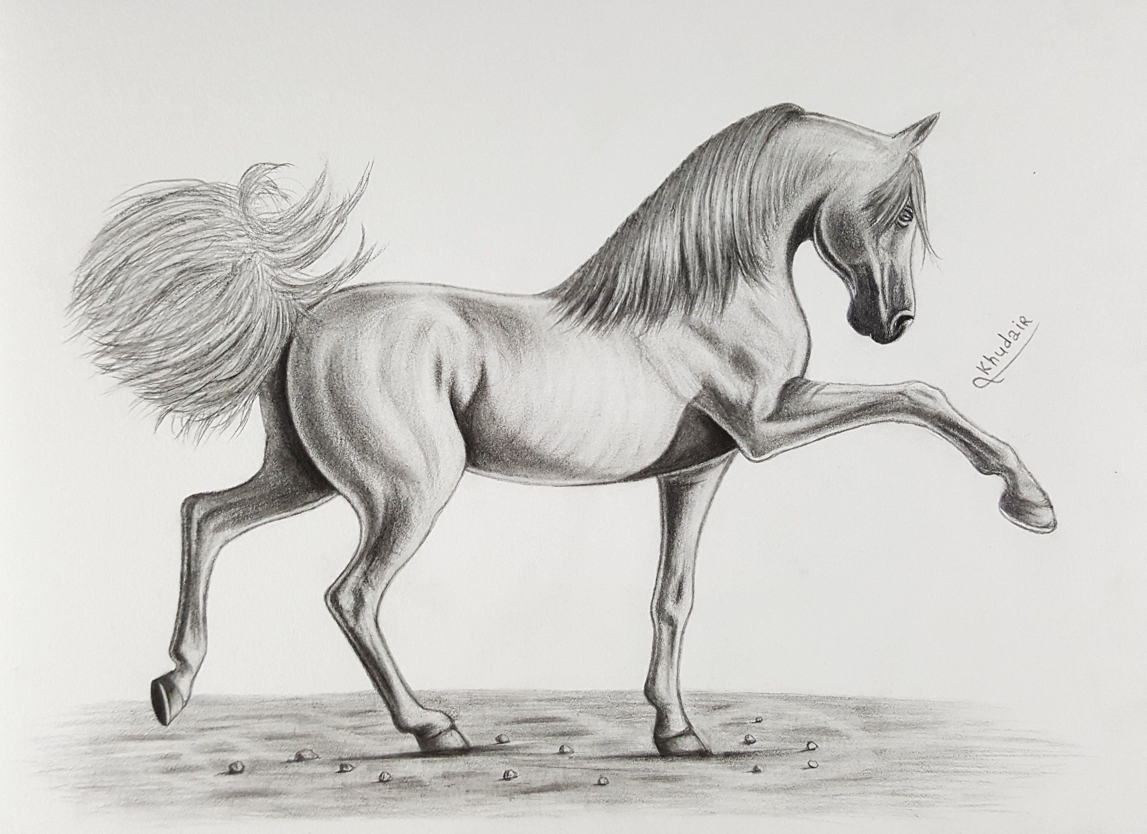 Рисунки лошадей легкие