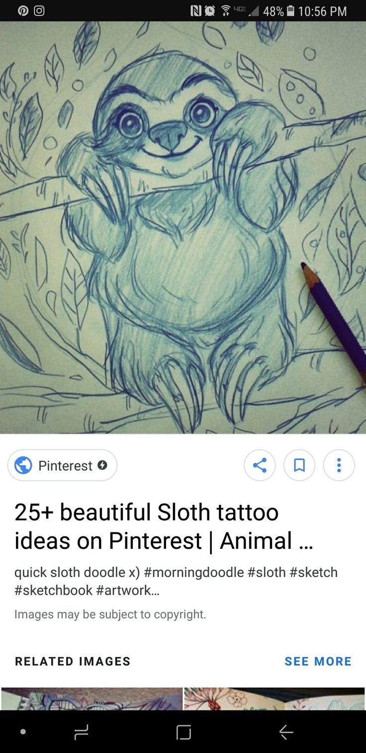Ленивец рисунок карандашом