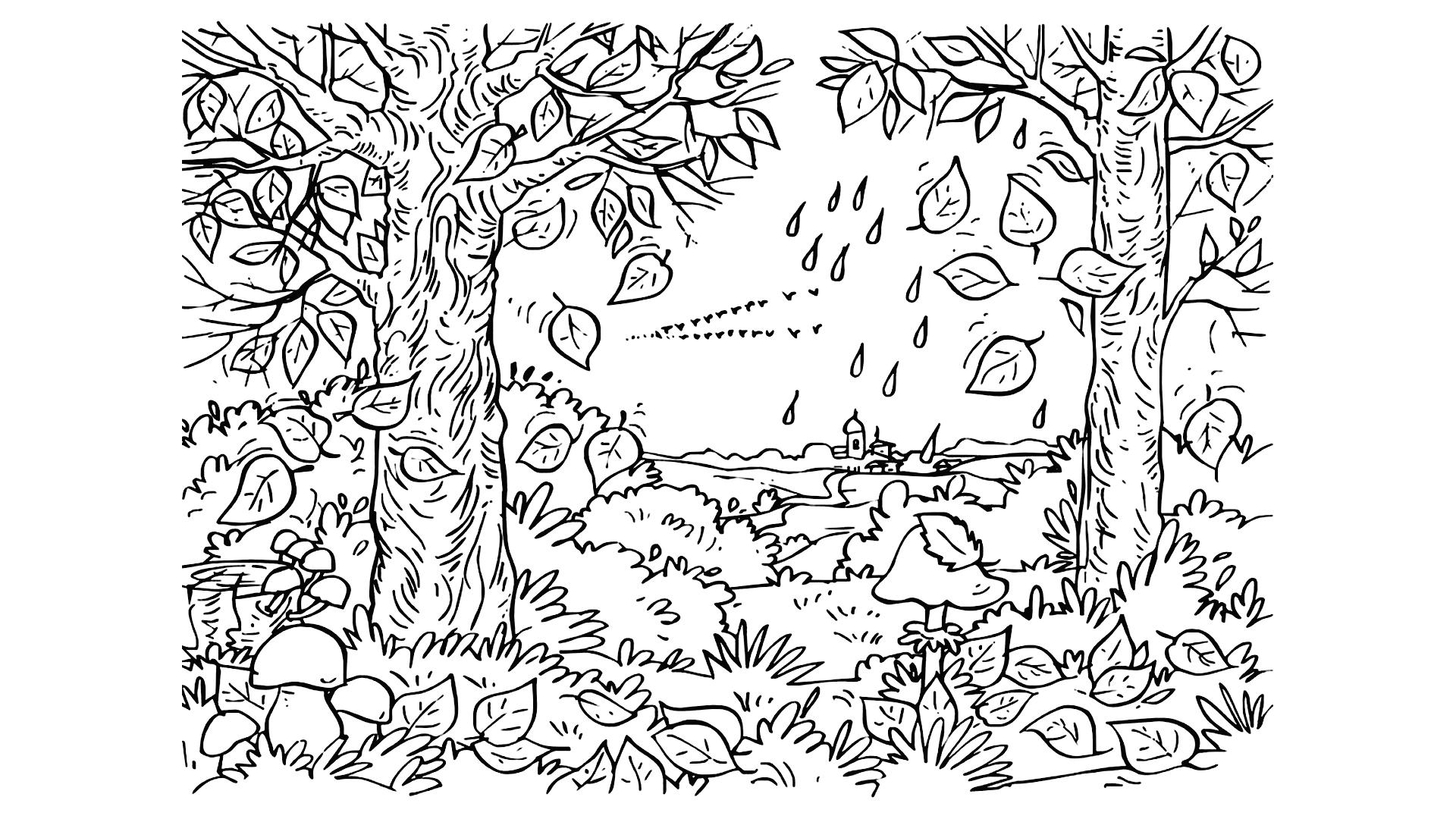 Рисунок осенний лес раскраска