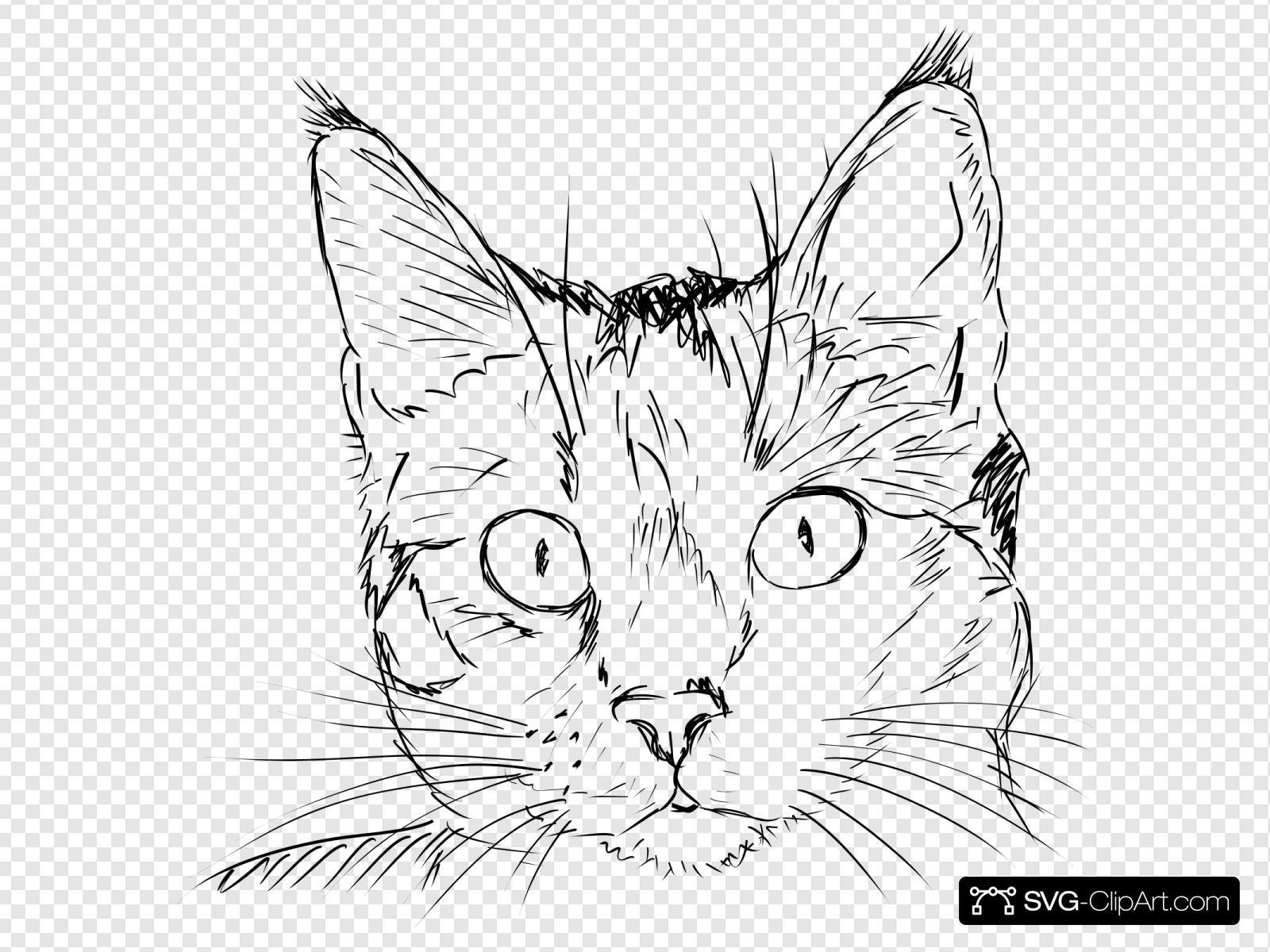 Рисунок кошки карандашом морда